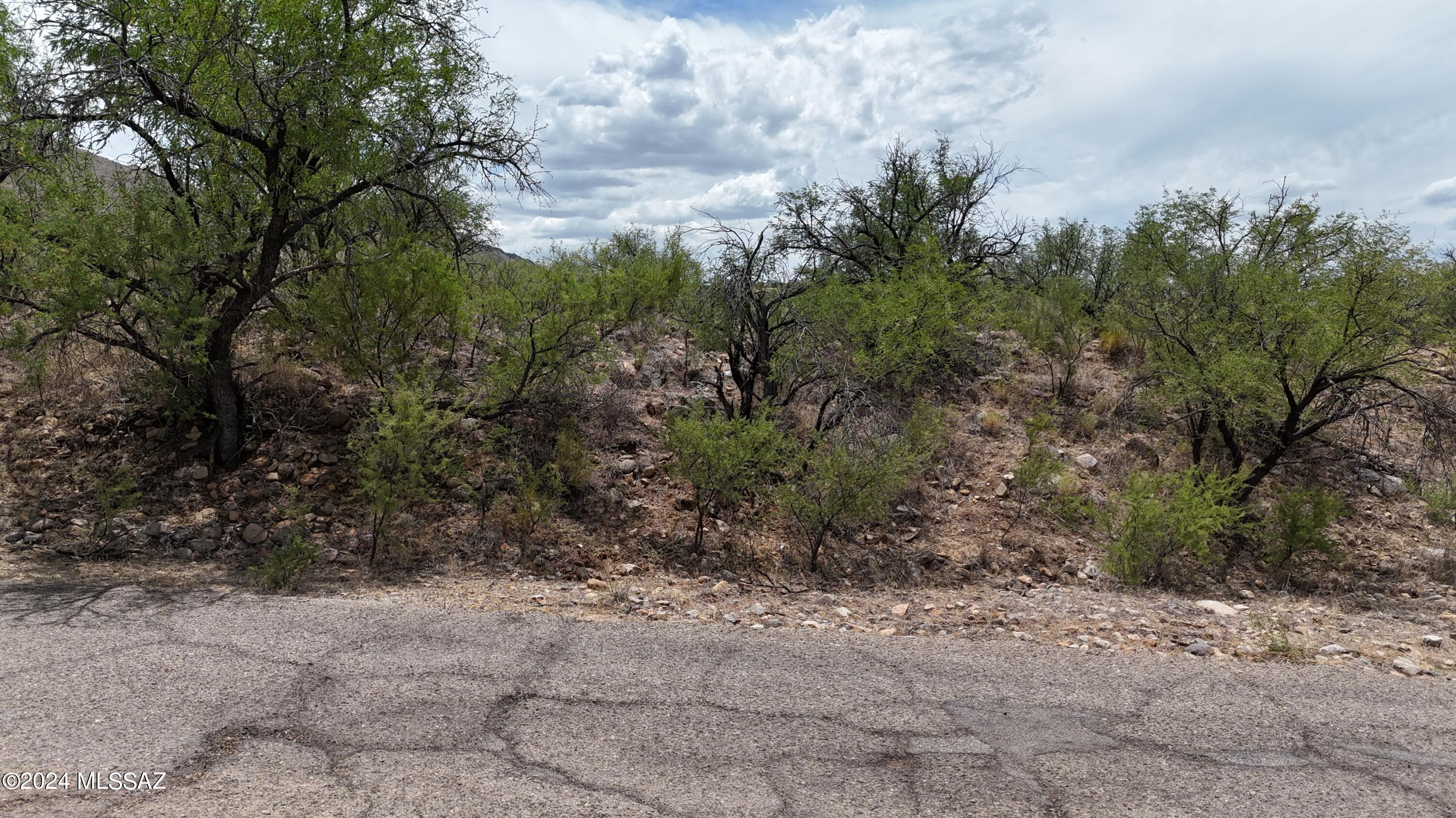 Great residential lot with a great rural feel.  If you are looking for a home site that is away from highway noise etc. you should take a look at this lot.  Nicely elevated just above road level so no dramatic hill climbs to get here and all paved access.  Nice mountain views.