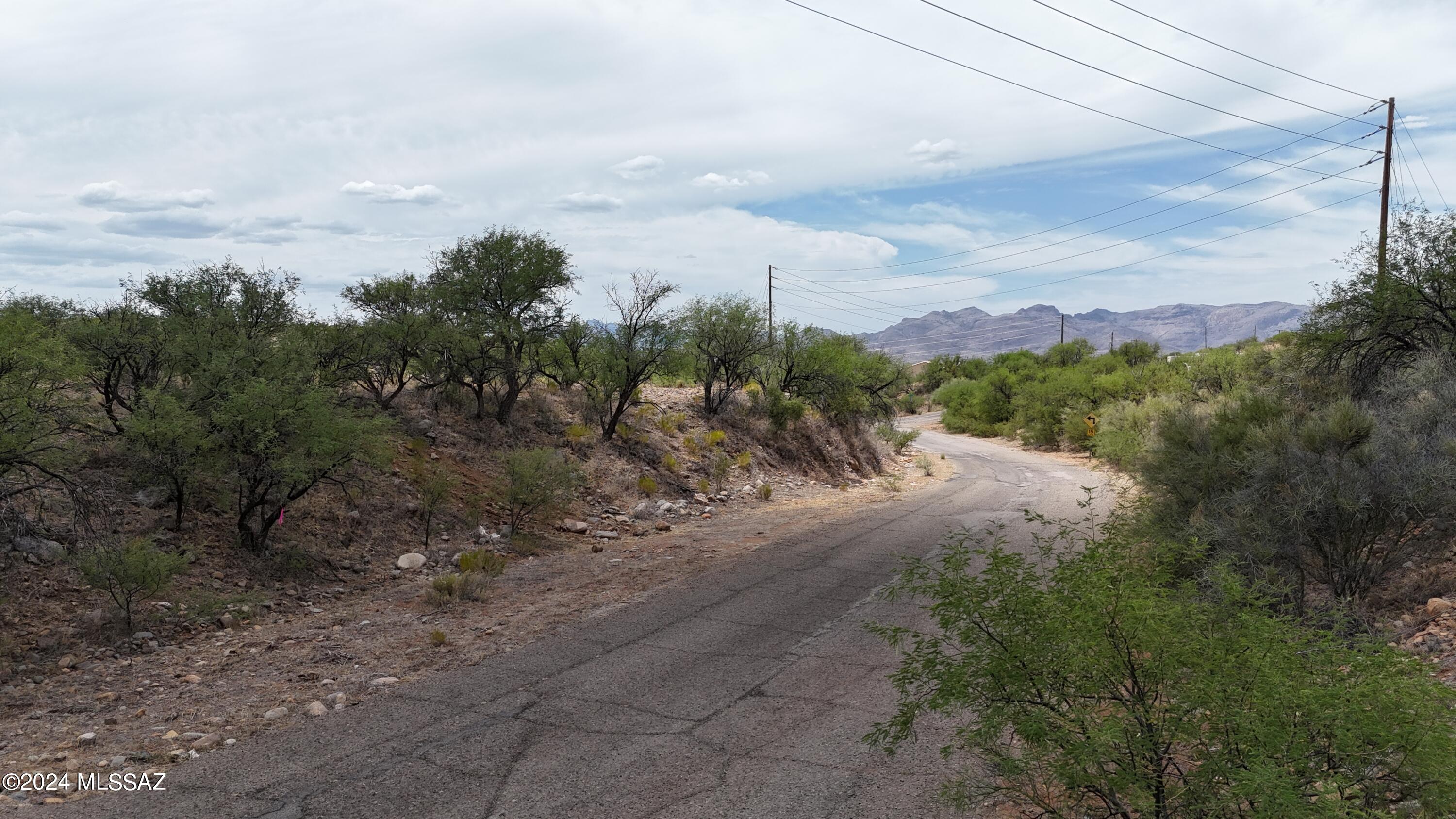 Rio Rico Estates 16 - Land