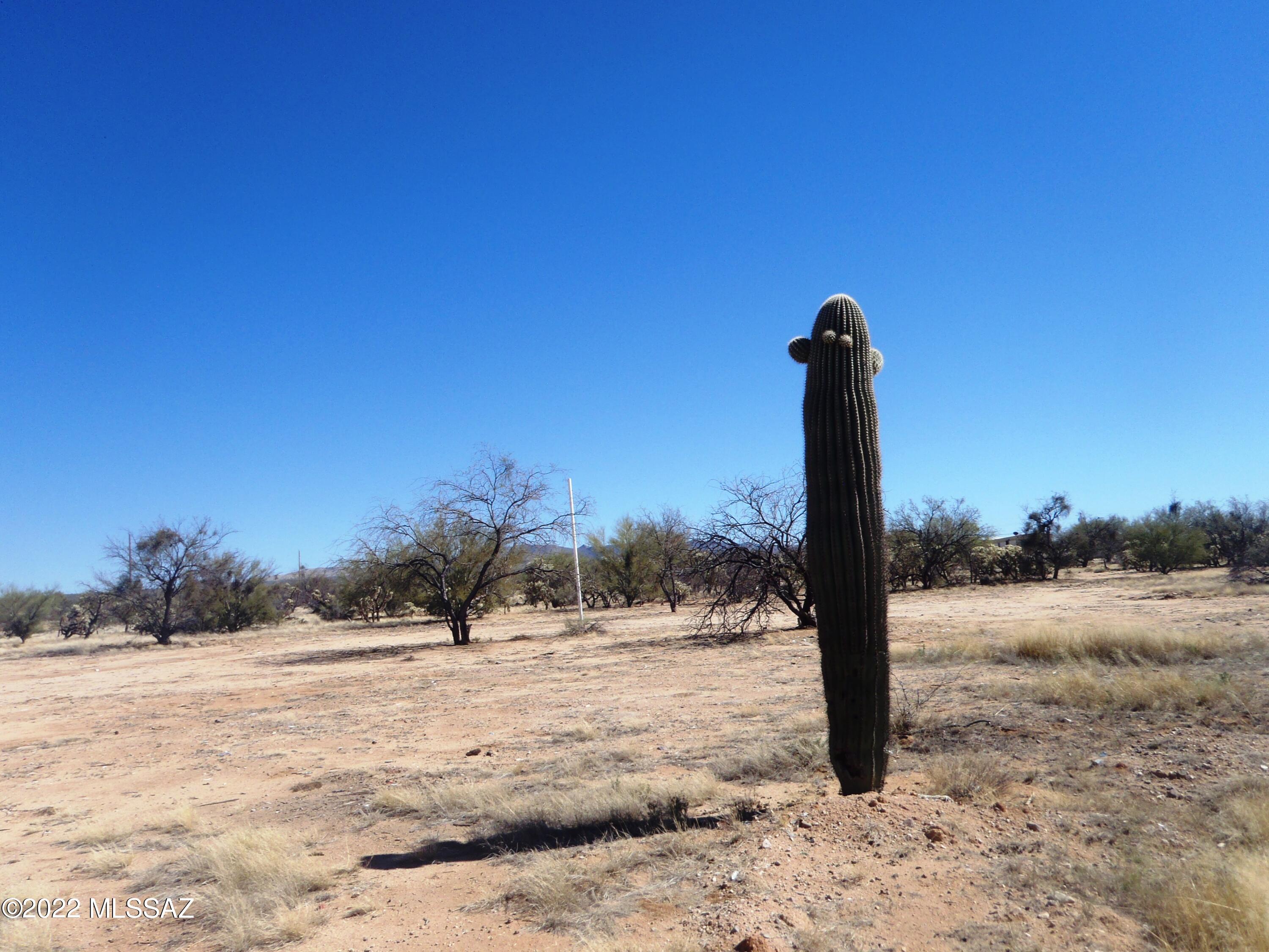 Diamond Bell Ranch Chaparral Unit (1-24, 26-228) - Land