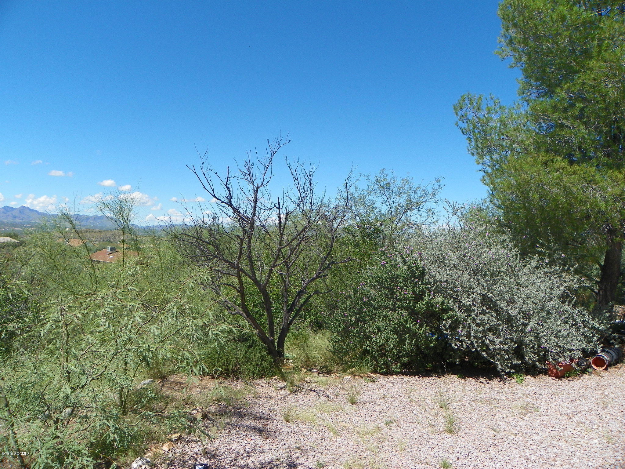 Rio Rico Estates 10 - Residential