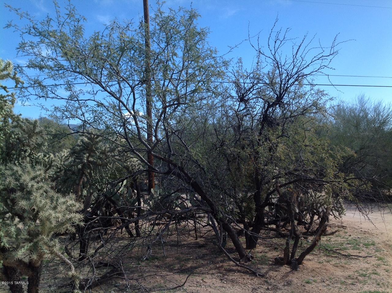 Chula Vista Reserve (1-8) - Land