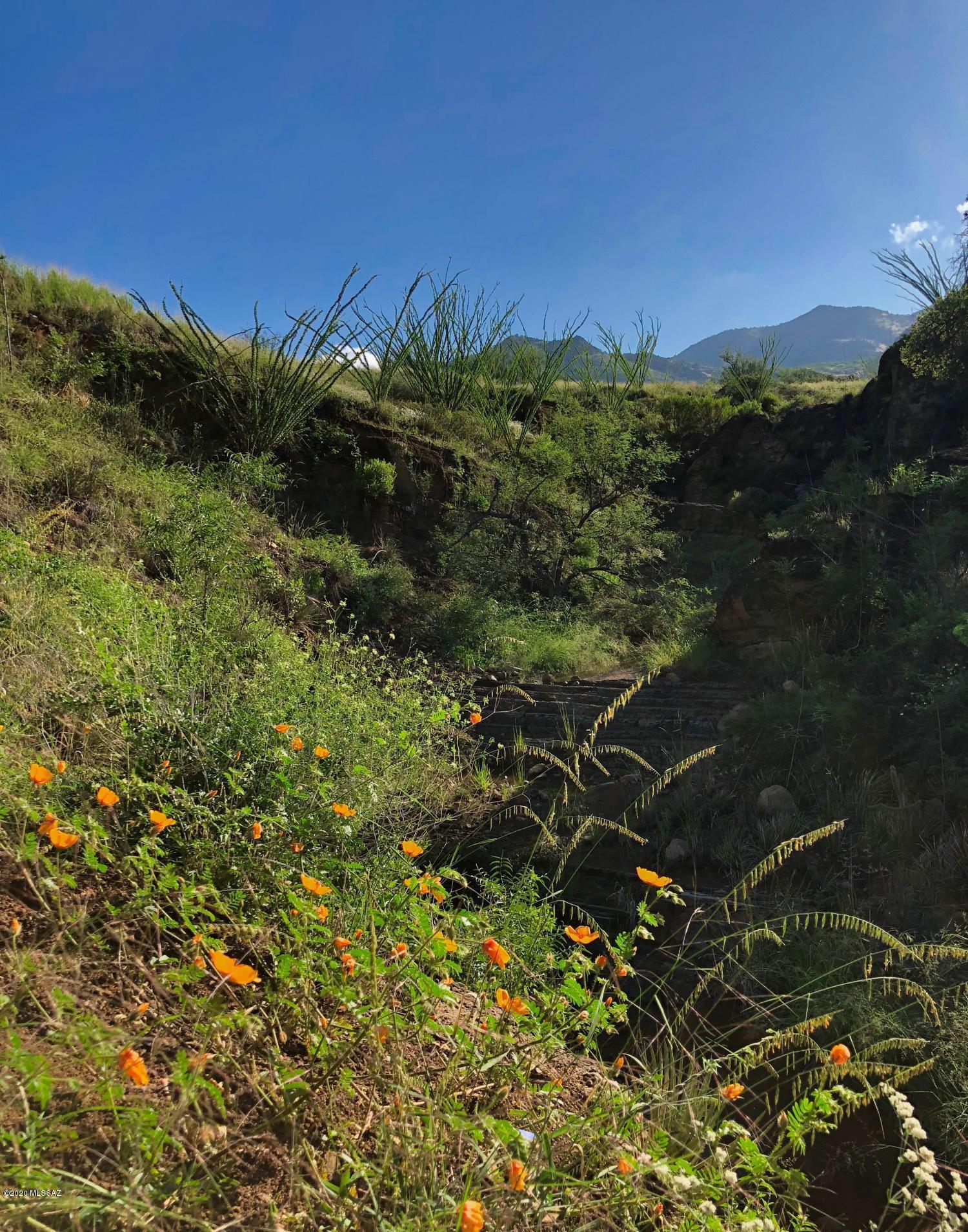 Salero Ranch - Land