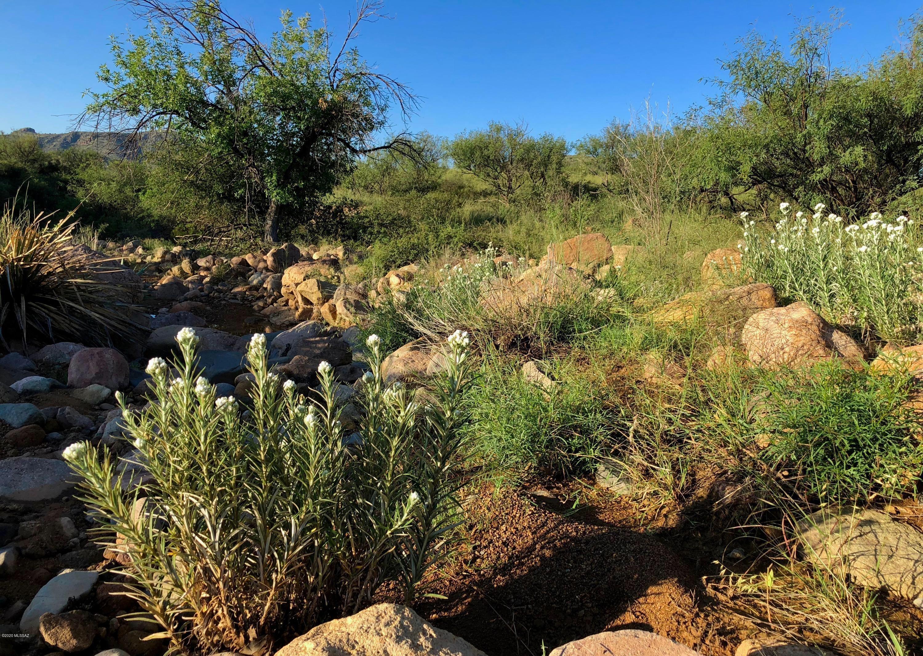 Salero Ranch - Land