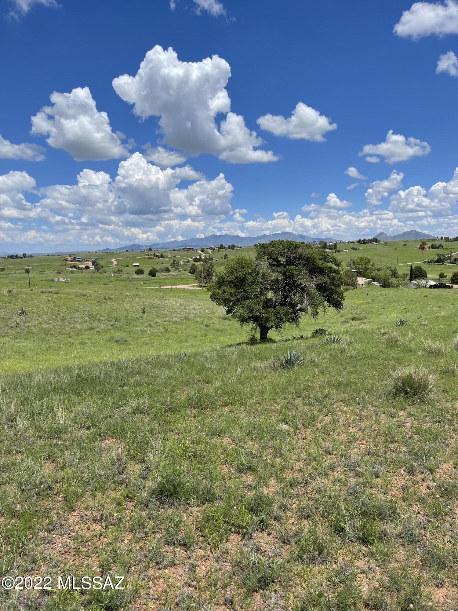 3.5 acres of rolling grassland with a great building spot for your dream home! County maintained dirt roads and power is at the property line. Conventional septic systems are in the area and the water table is known to be good for drilling a well. Close proximity to the school, wineries and the fairgrounds. Sonoita is a great place to call home and has so much to offer for those wanting to live out in the country in a strong small-town community.