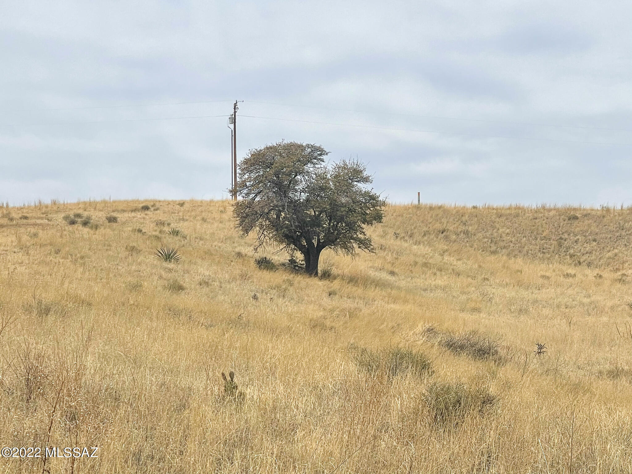Sonoita Estates (1-18) - Land