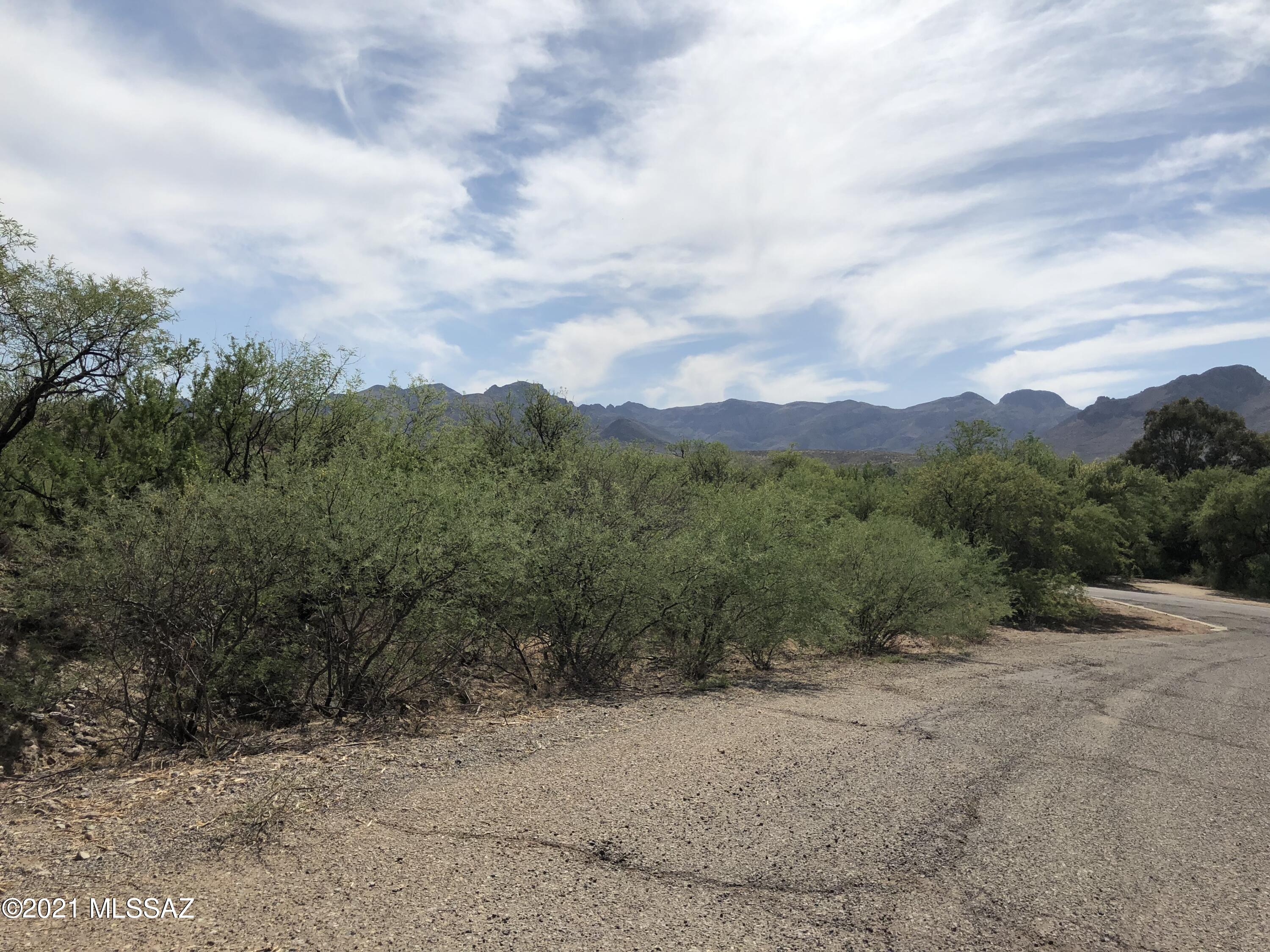 Rio Rico Estates 16 - Land