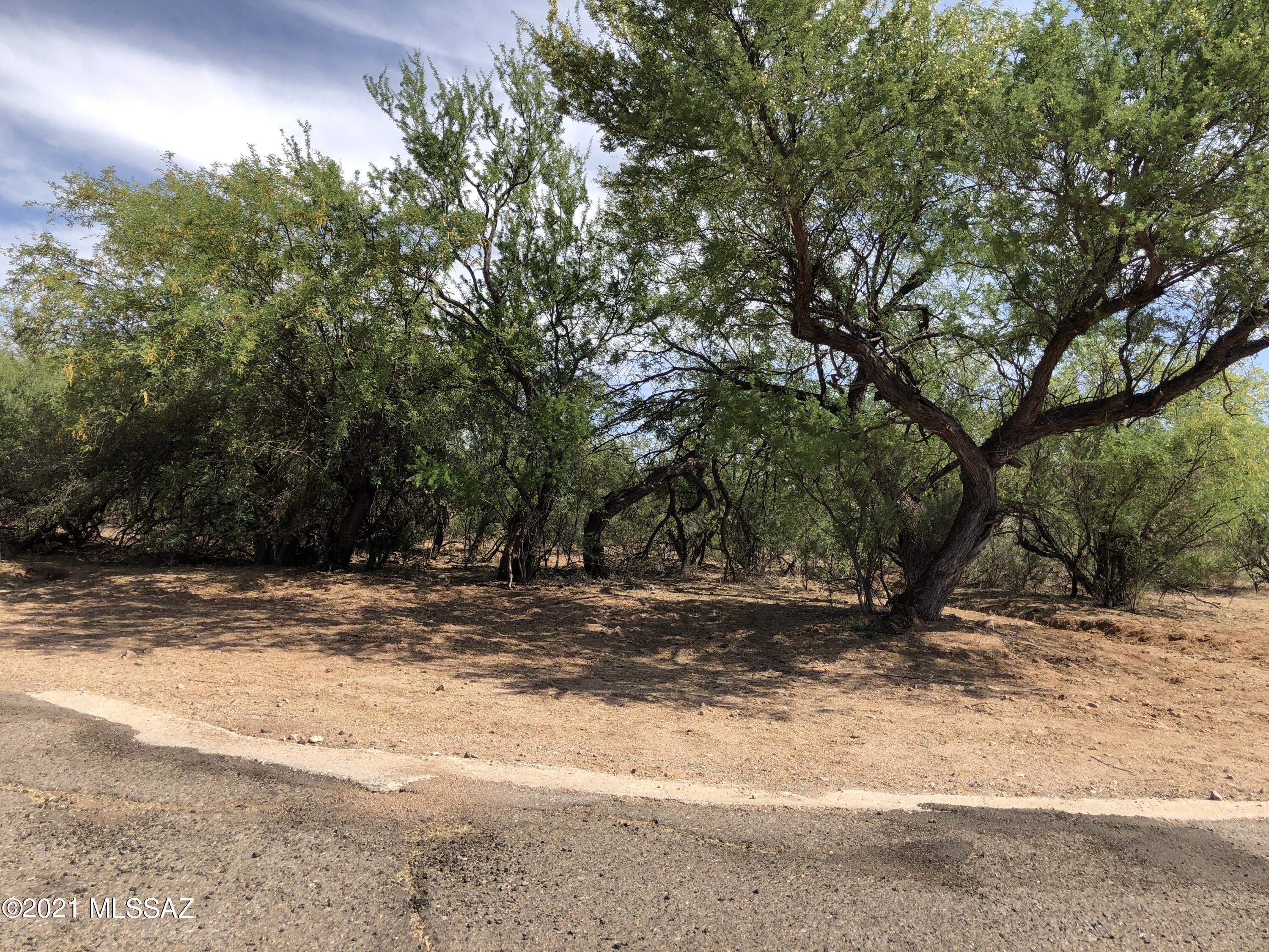 This residential lot has a hill on it and low area with a wash going thru that is why I put yes for flood zone however the lot can most likely be graded to allow for a higher building site.