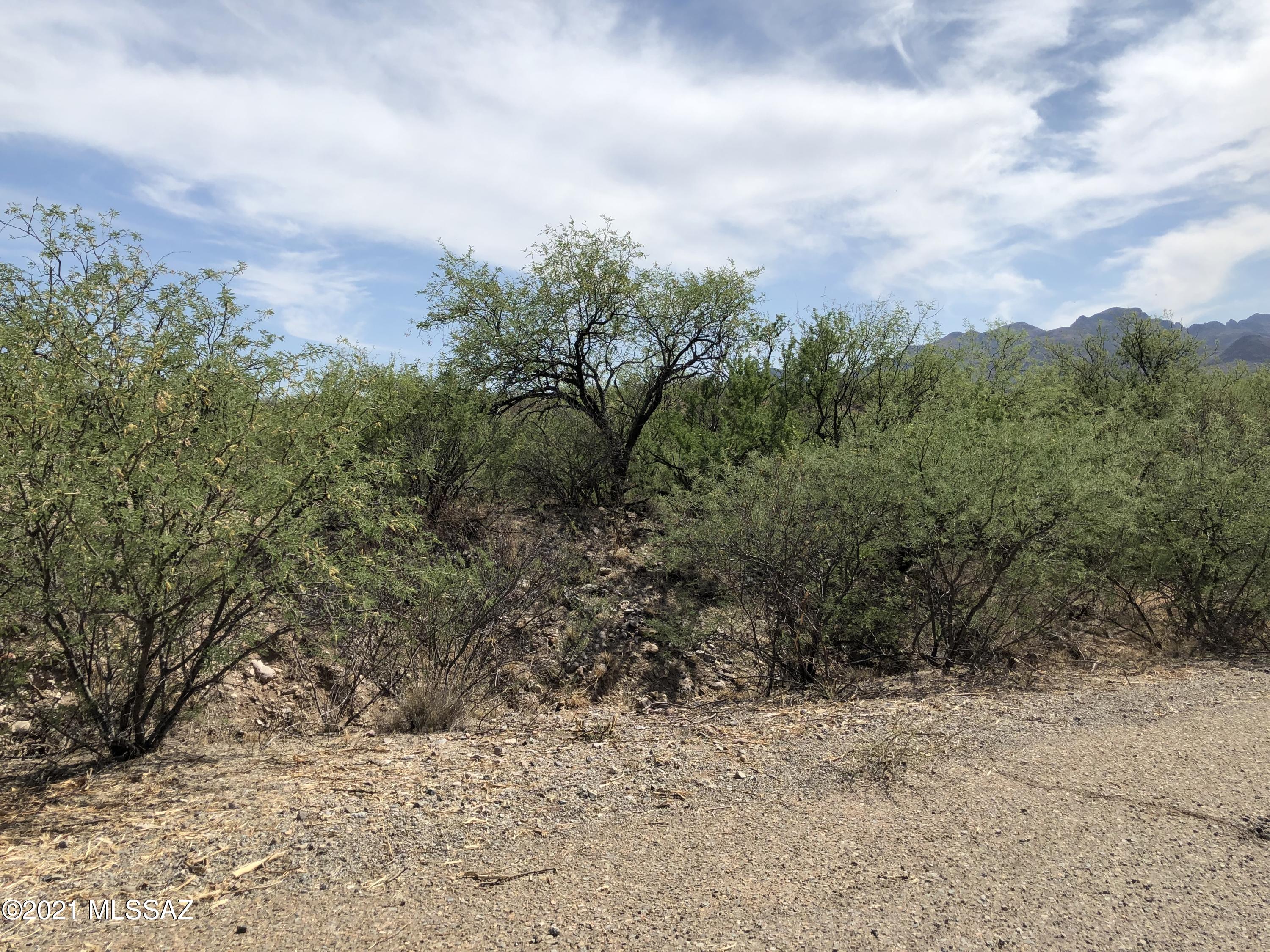 Rio Rico Estates 16 - Land