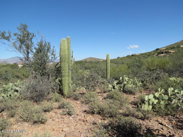 Twin Hills Estates (1-28) - Land