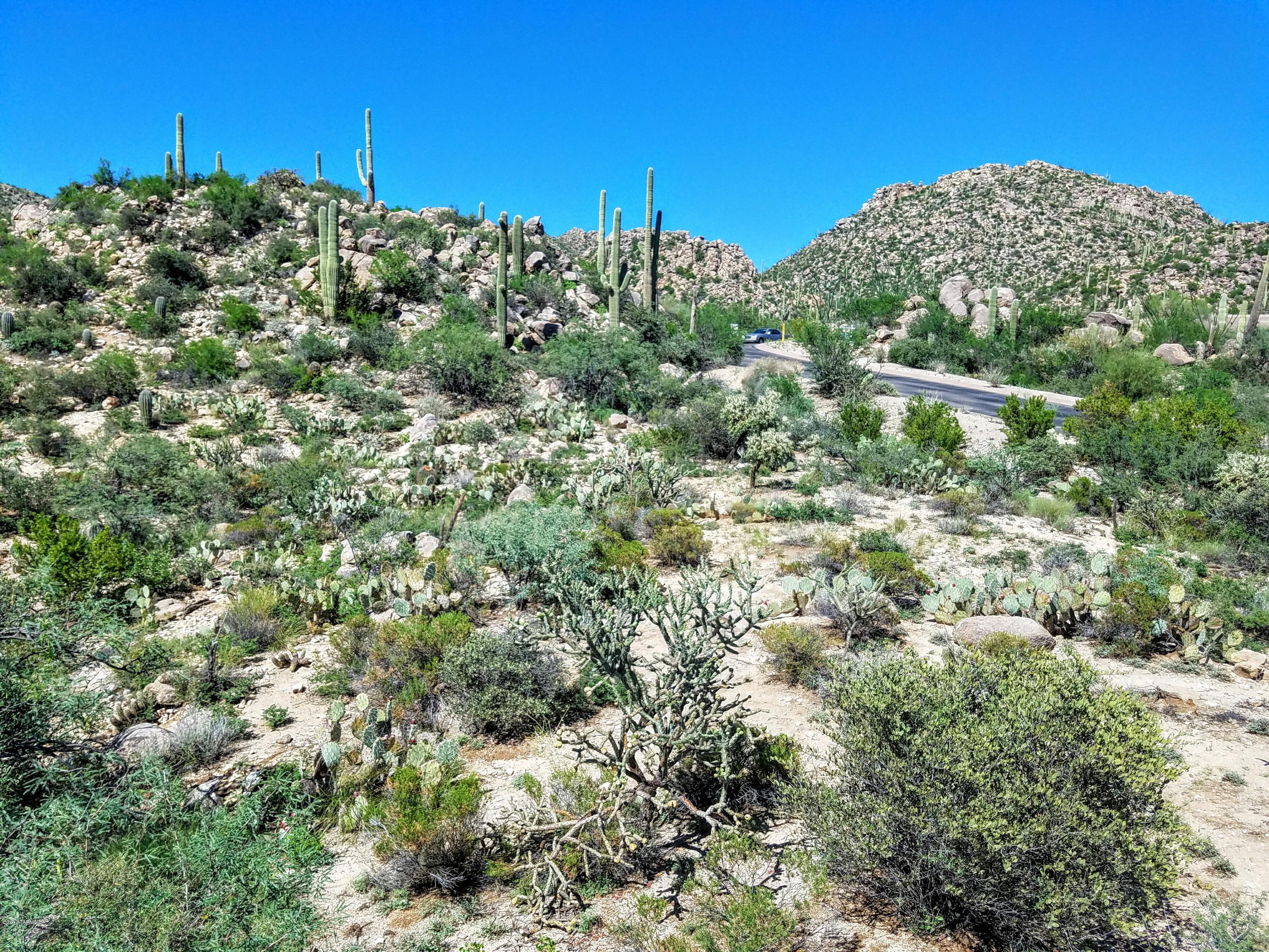 Canyon Pass At Dove Mountain - Land