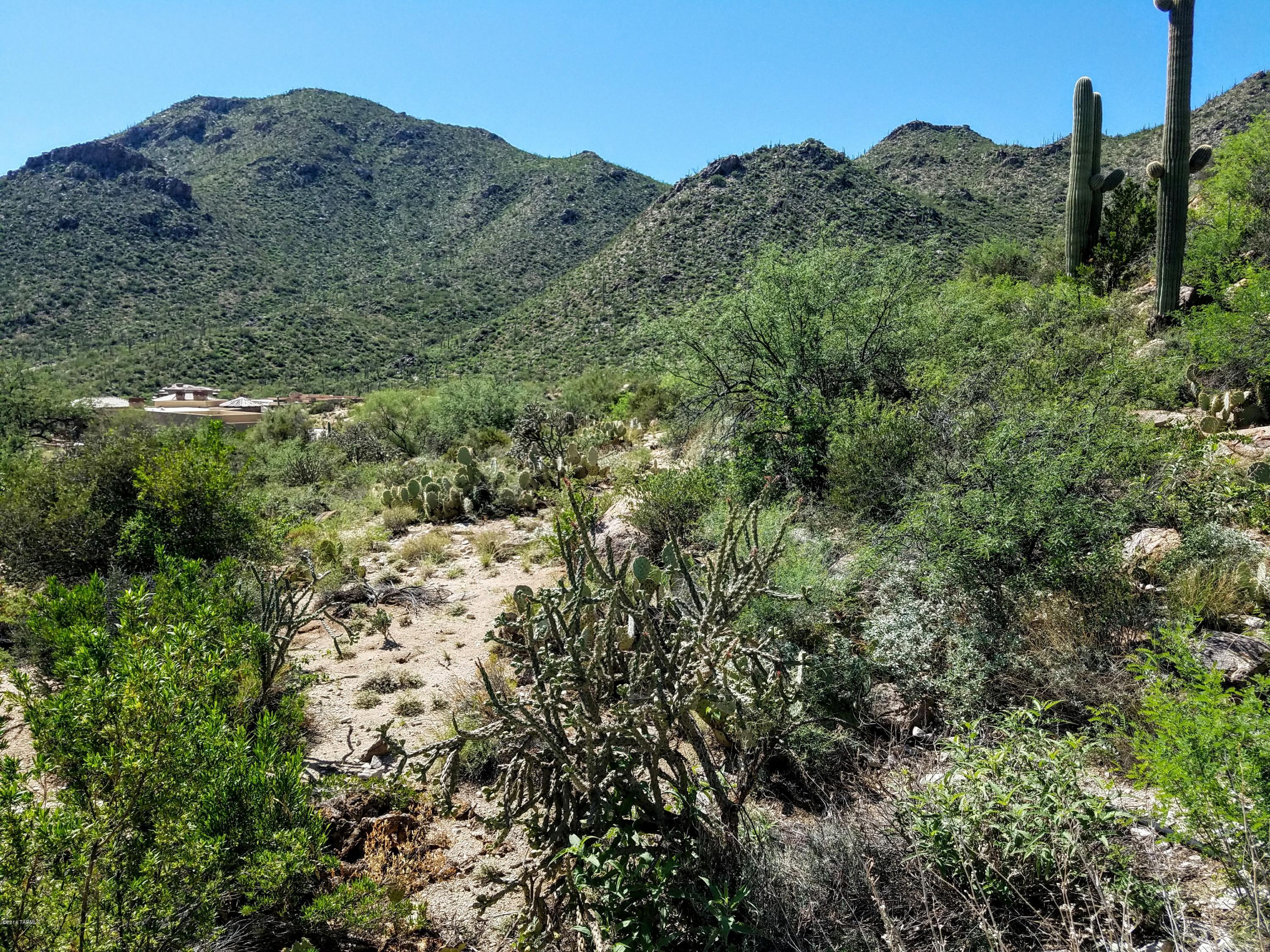 Canyon Pass At Dove Mountain - Land
