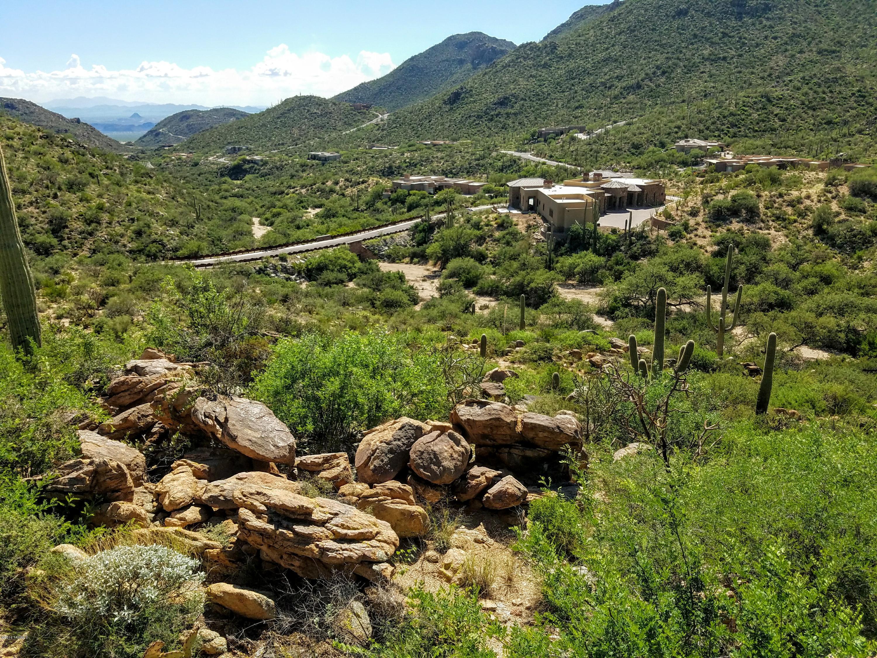 Canyon Pass At Dove Mountain - Land