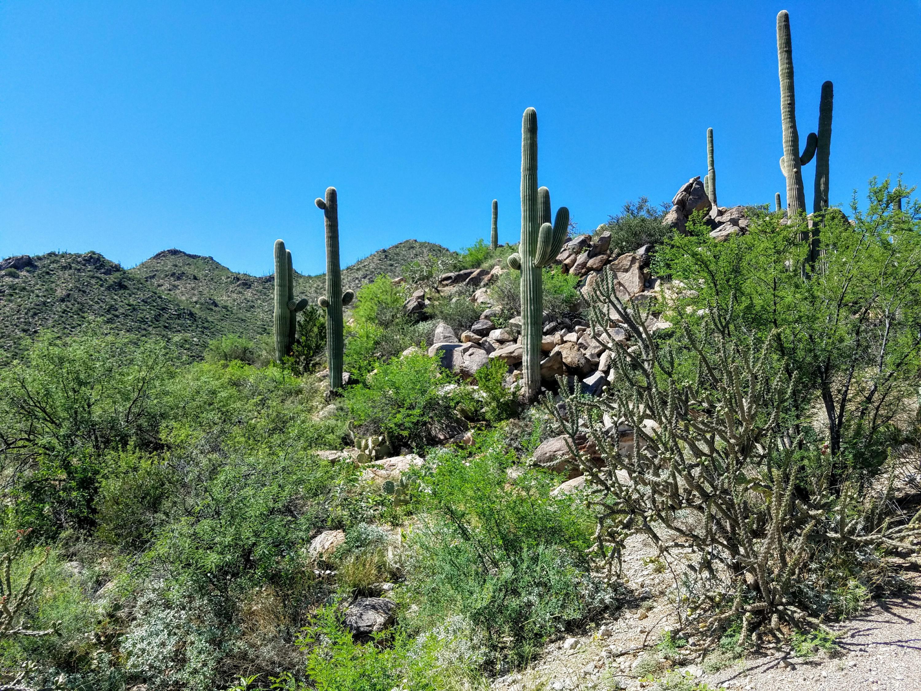Canyon Pass At Dove Mountain - Land