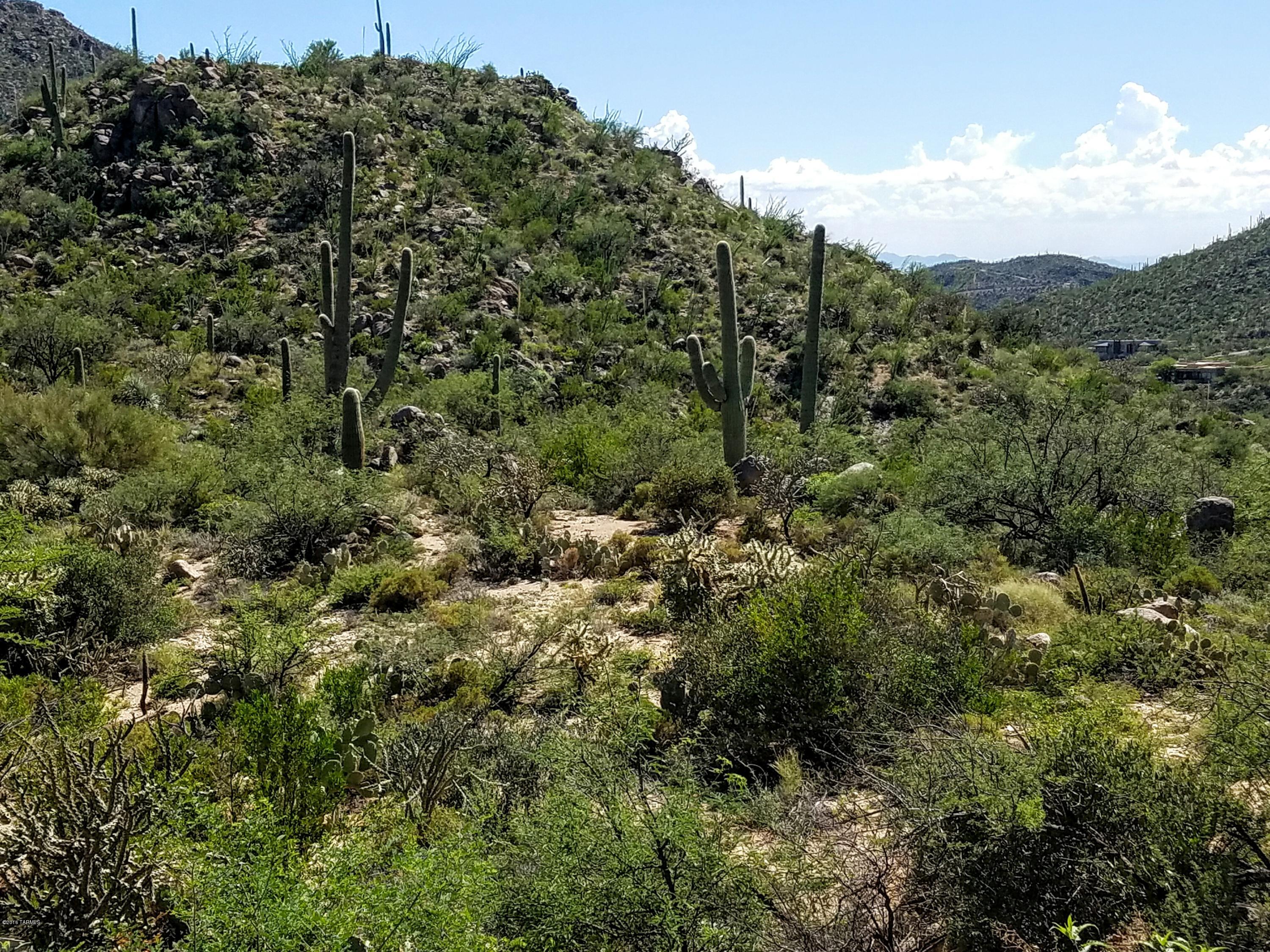 Canyon Pass At Dove Mountain - Land