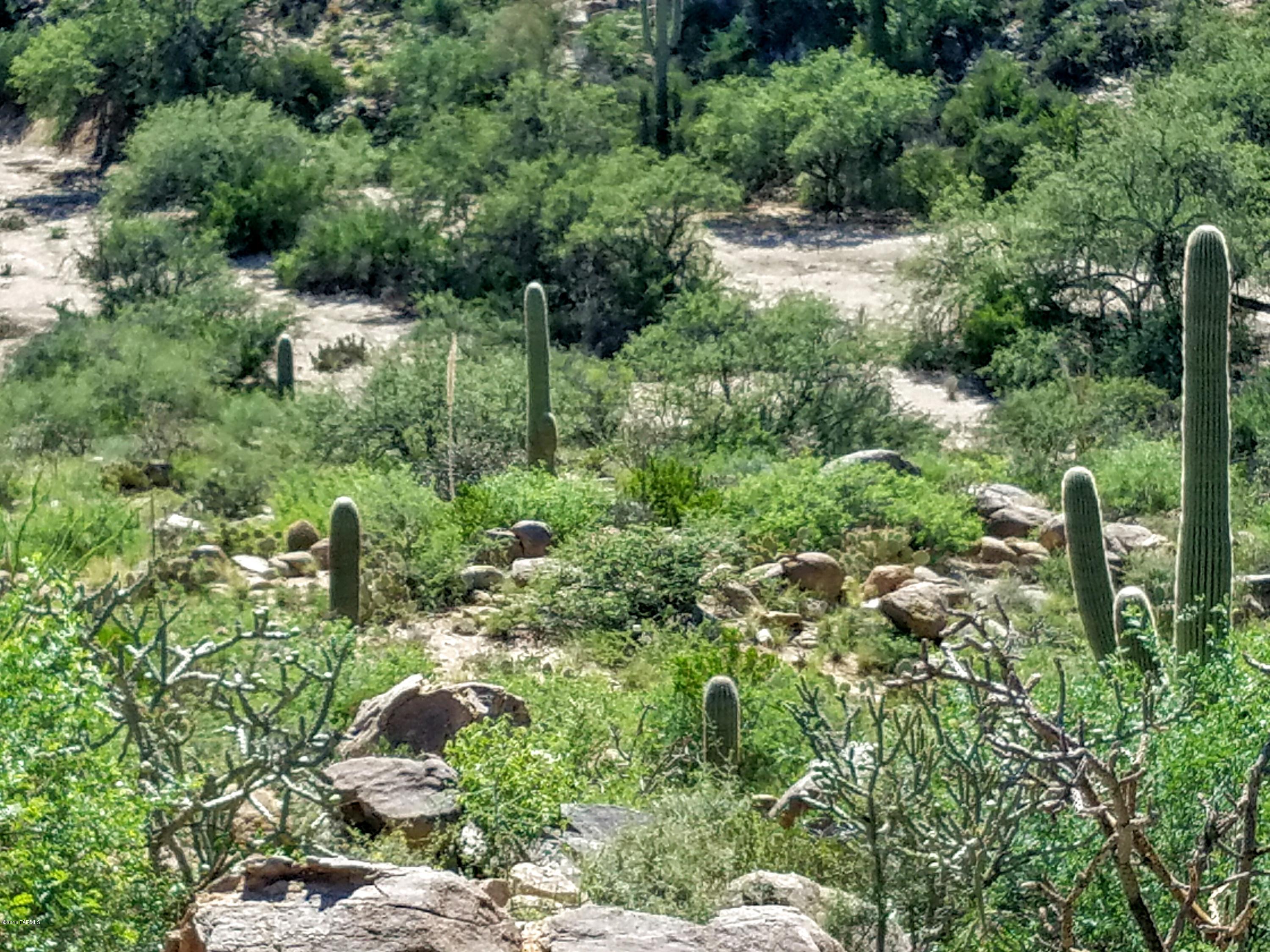 Canyon Pass At Dove Mountain - Land