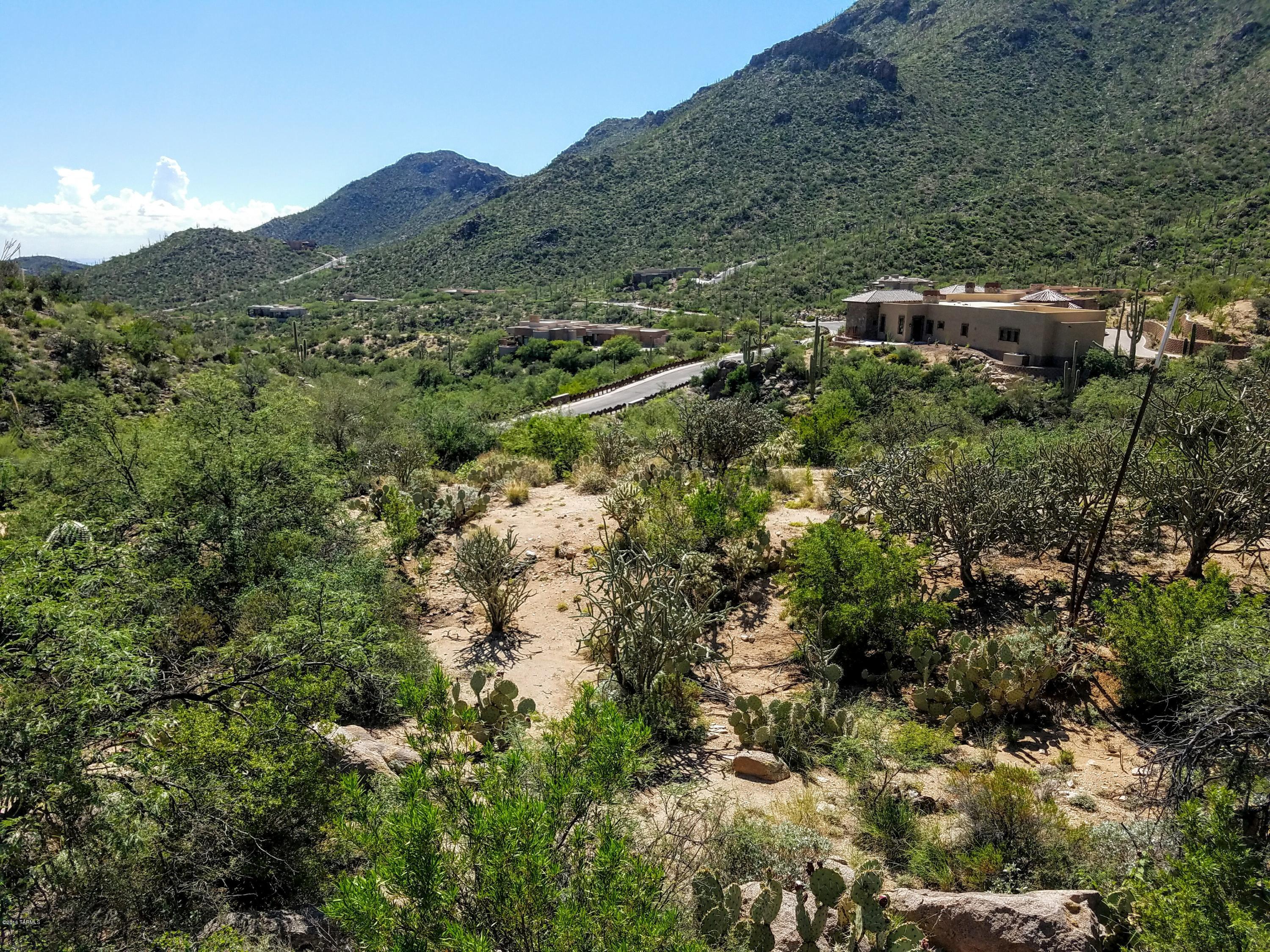 Canyon Pass At Dove Mountain - Land