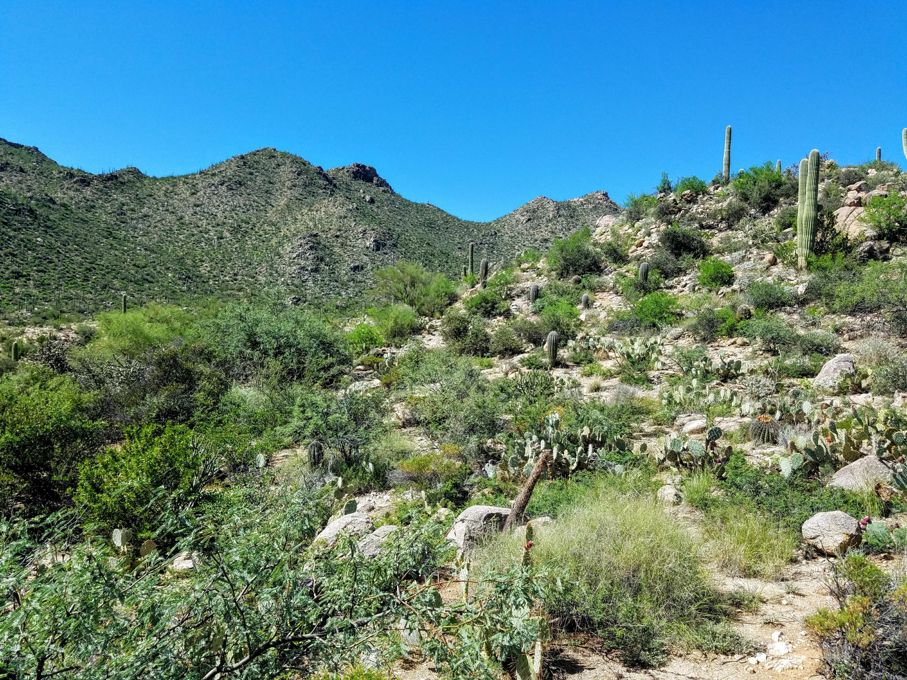 Canyon Pass At Dove Mountain - Land