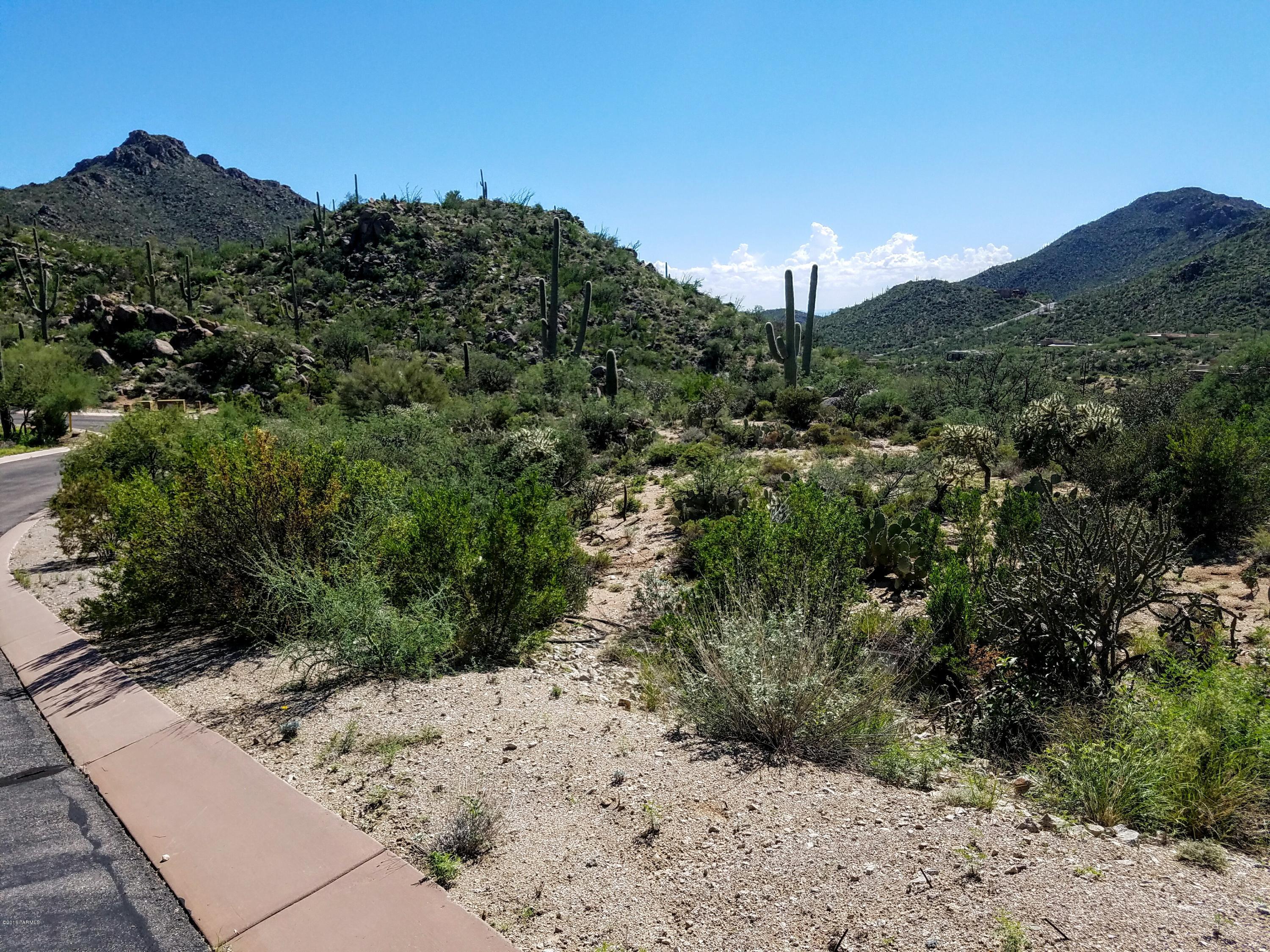 Canyon Pass At Dove Mountain - Land
