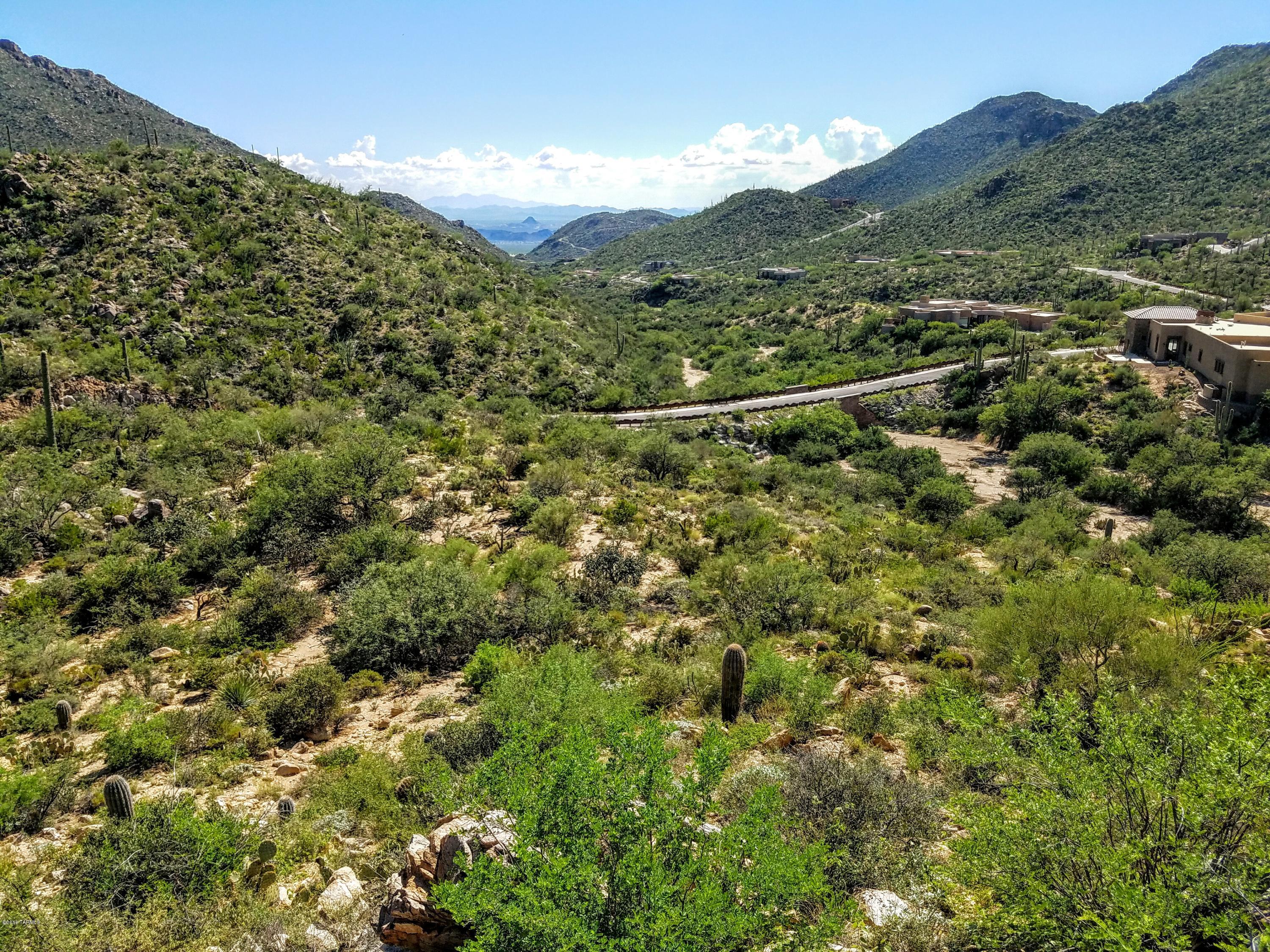 Canyon Pass At Dove Mountain - Land