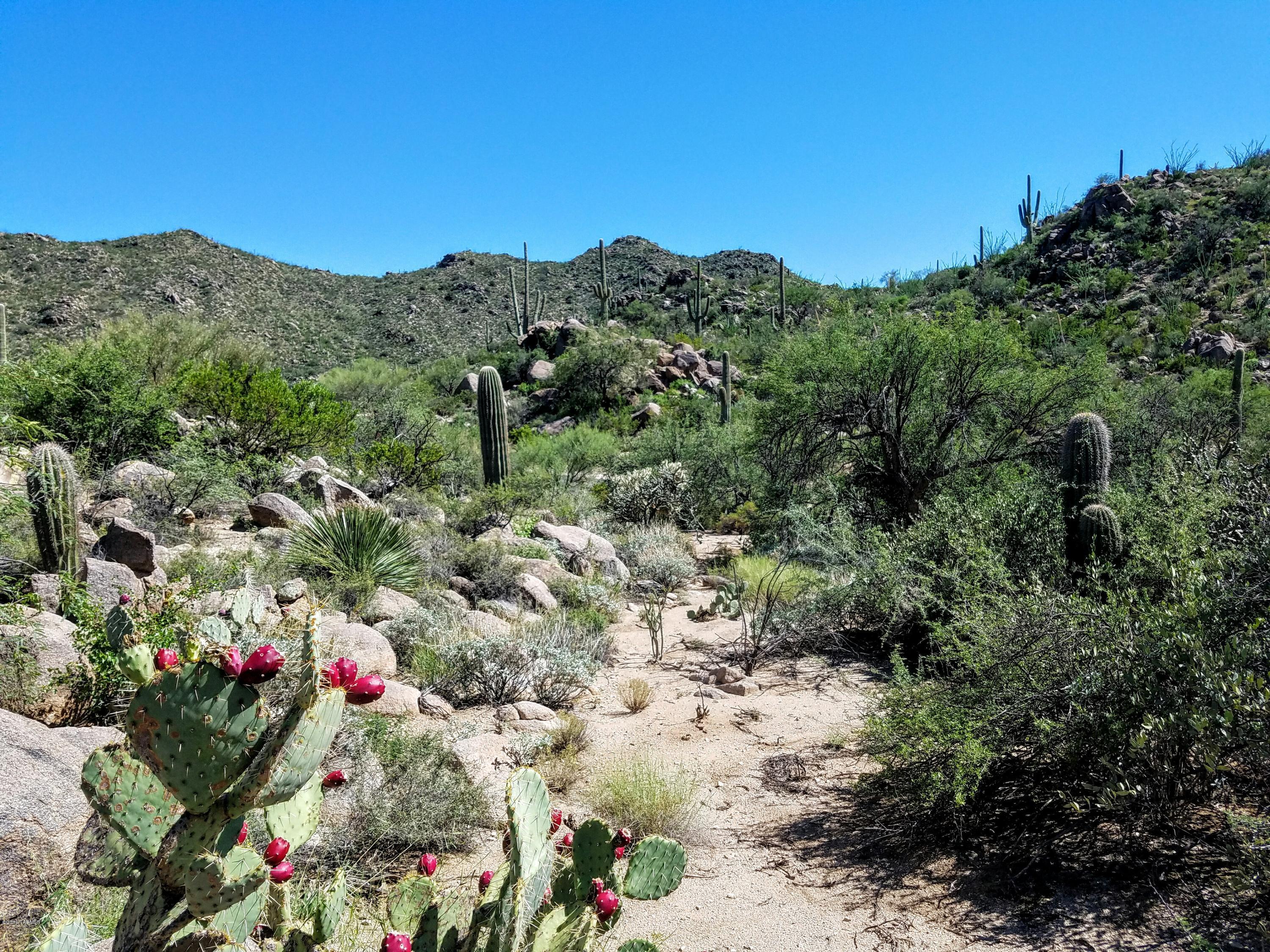 Canyon Pass At Dove Mountain - Land