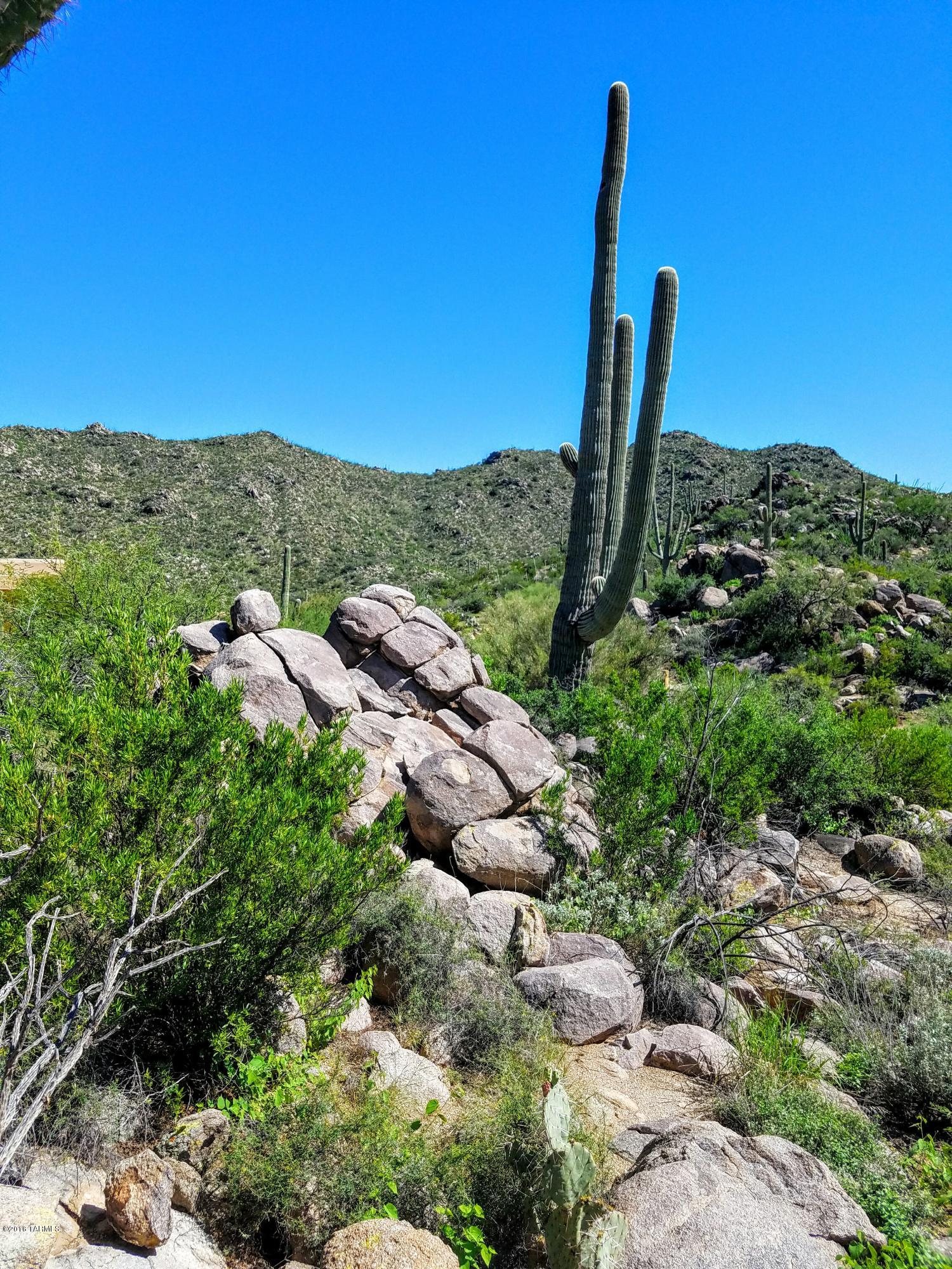 Canyon Pass At Dove Mountain - Land