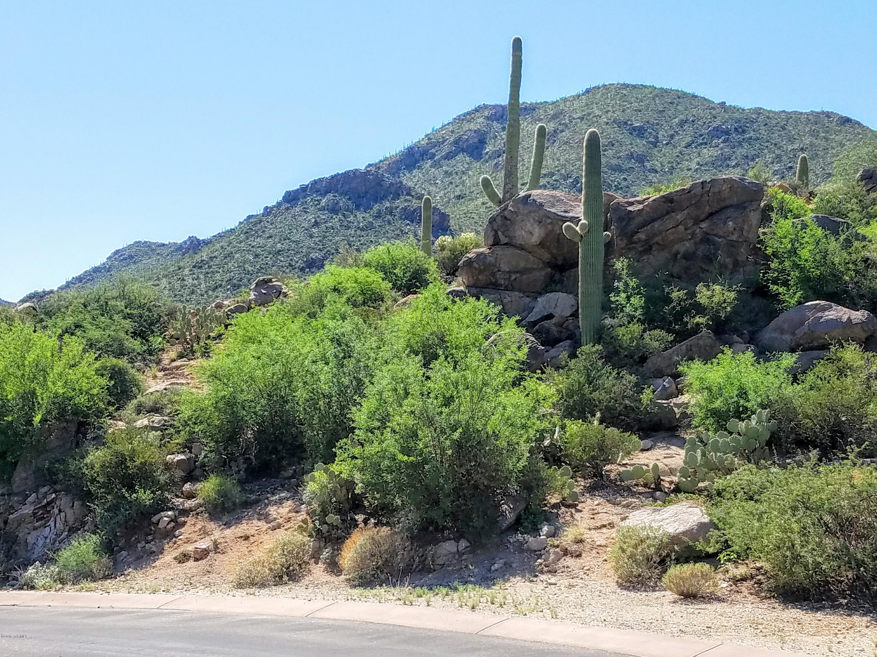 Canyon Pass At Dove Mountain - Land