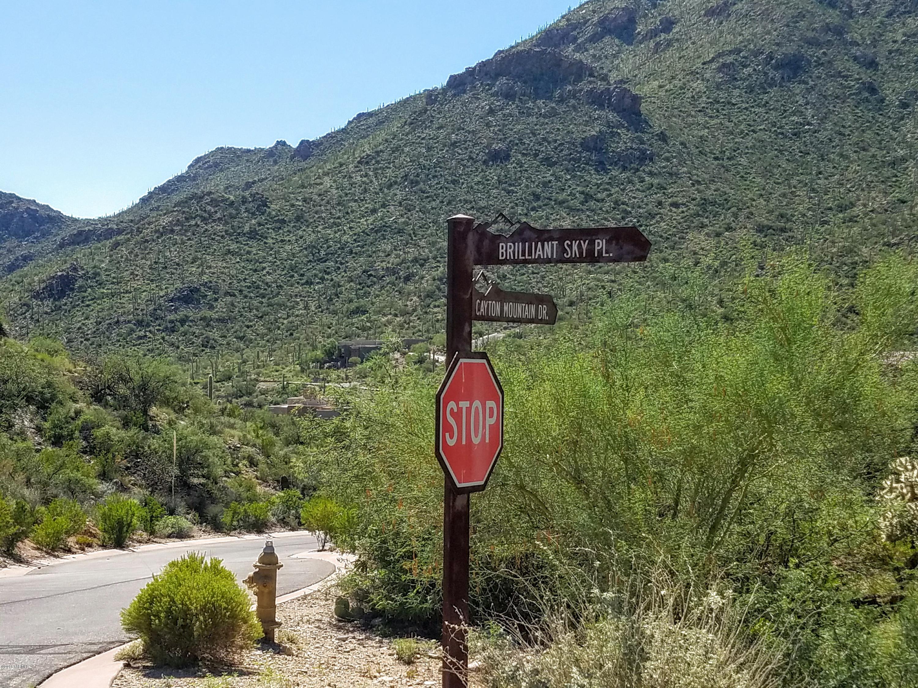 Canyon Pass At Dove Mountain - Land