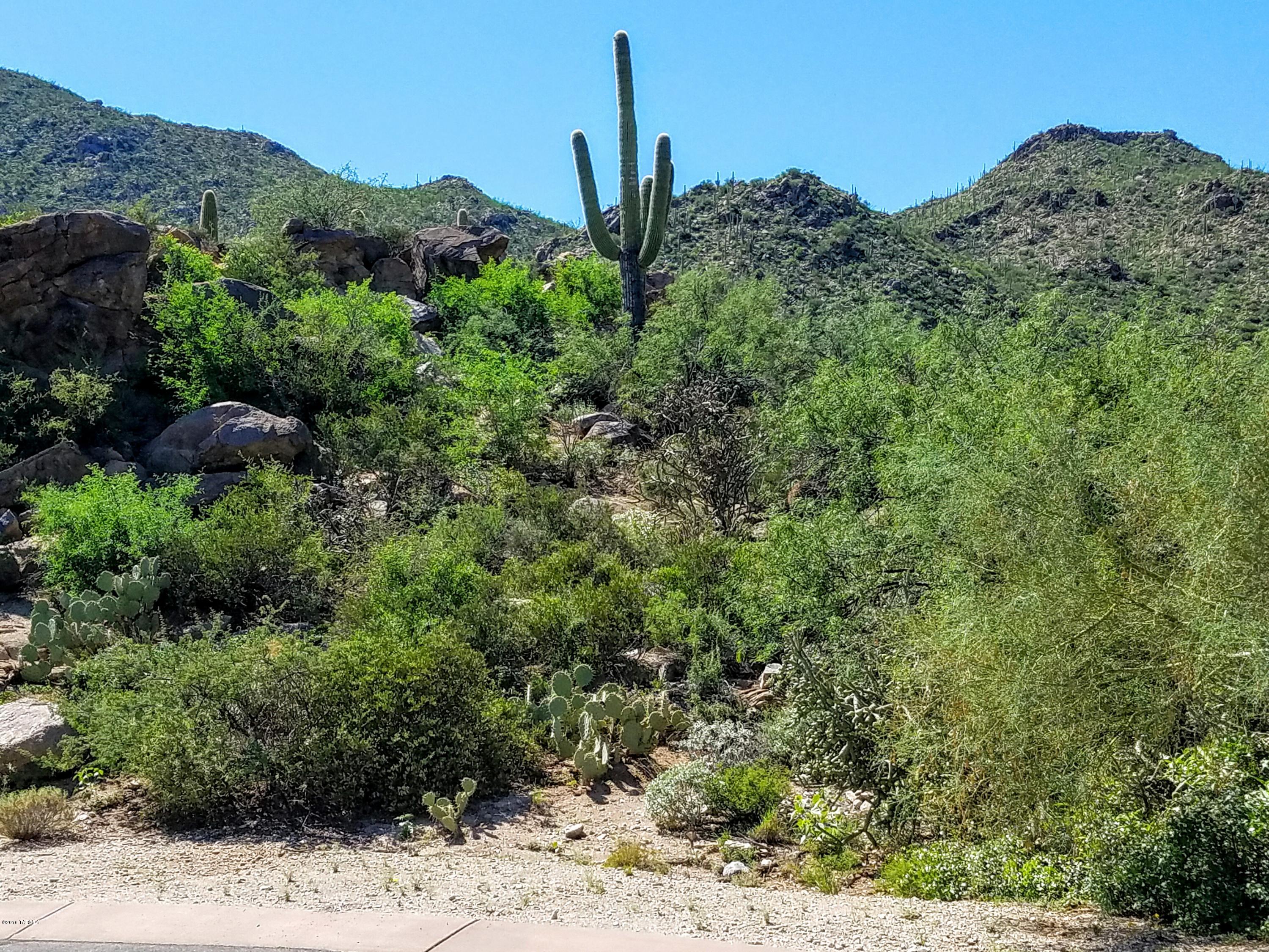 Canyon Pass At Dove Mountain - Land