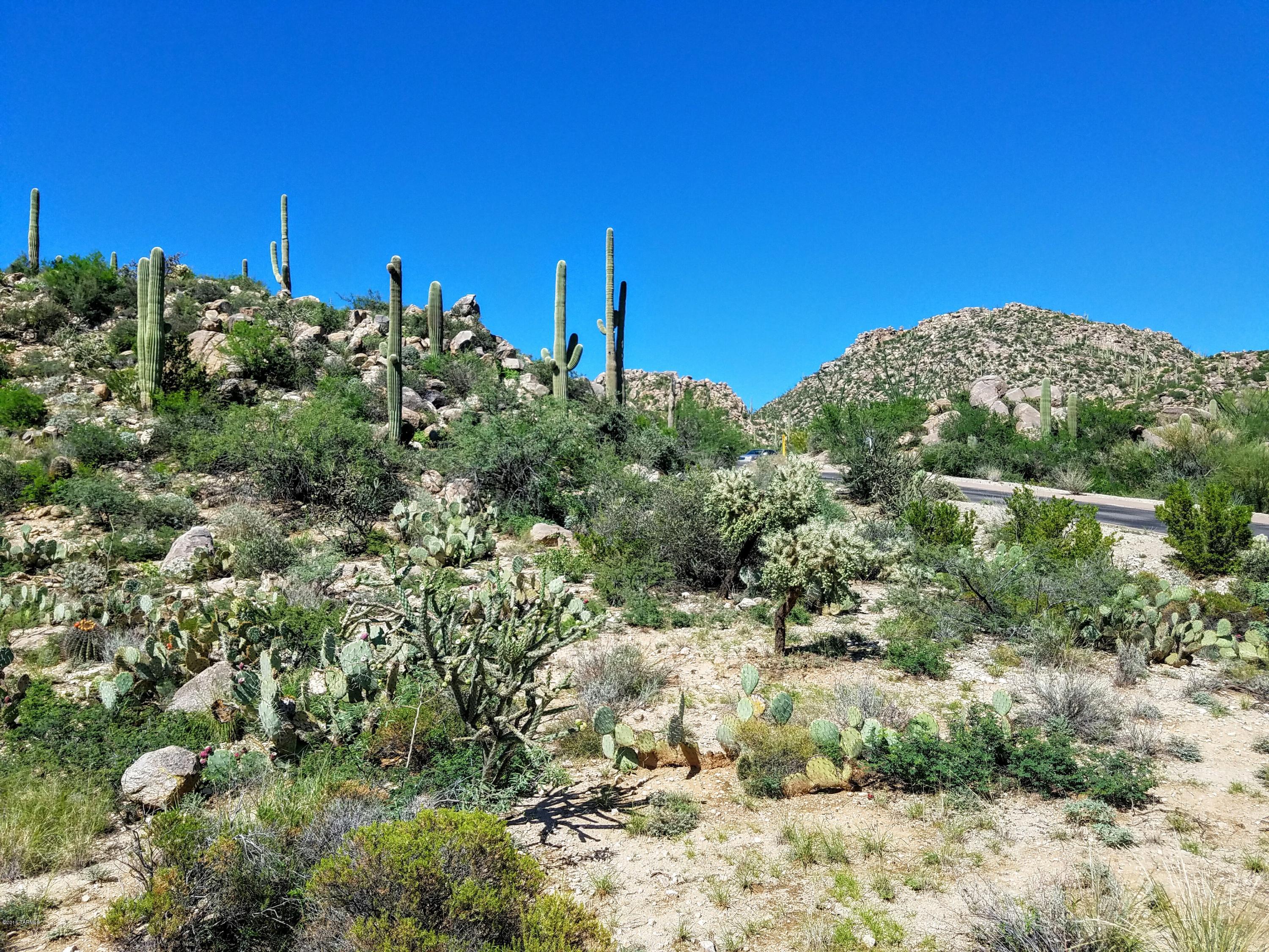 Canyon Pass At Dove Mountain - Land