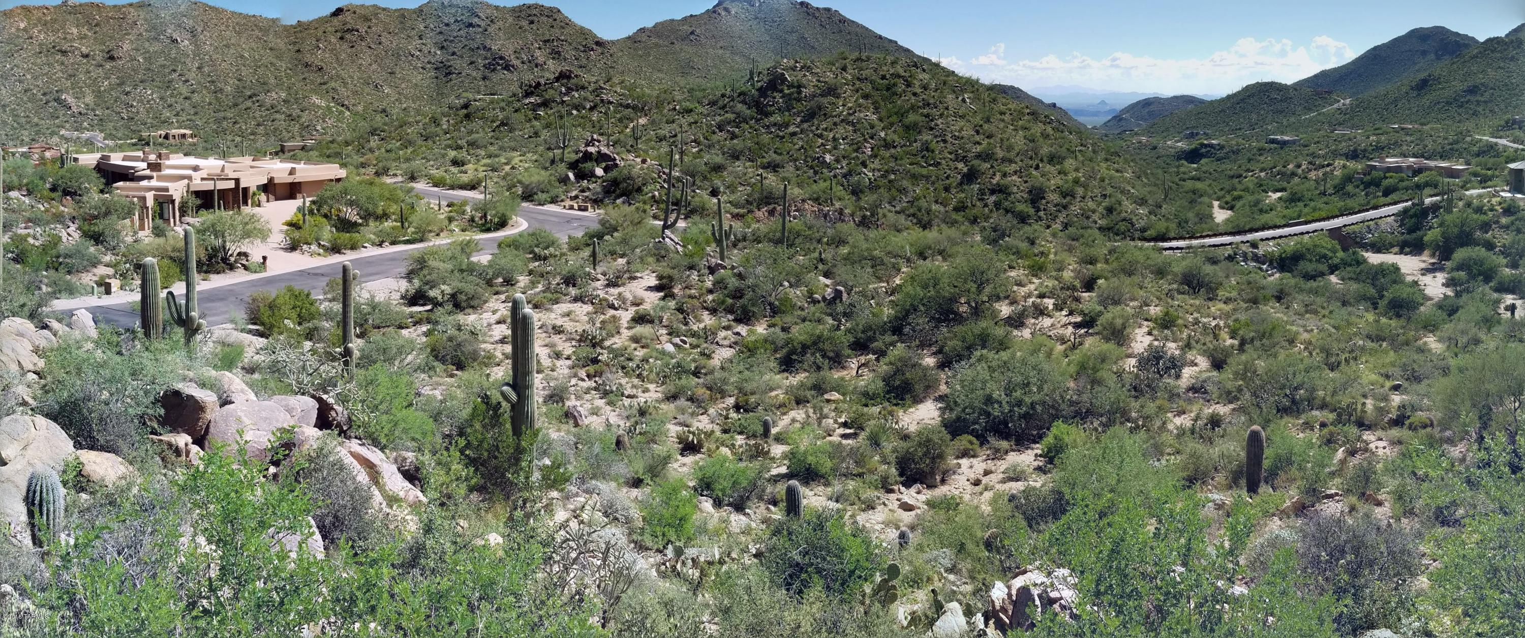 Canyon Pass At Dove Mountain - Land