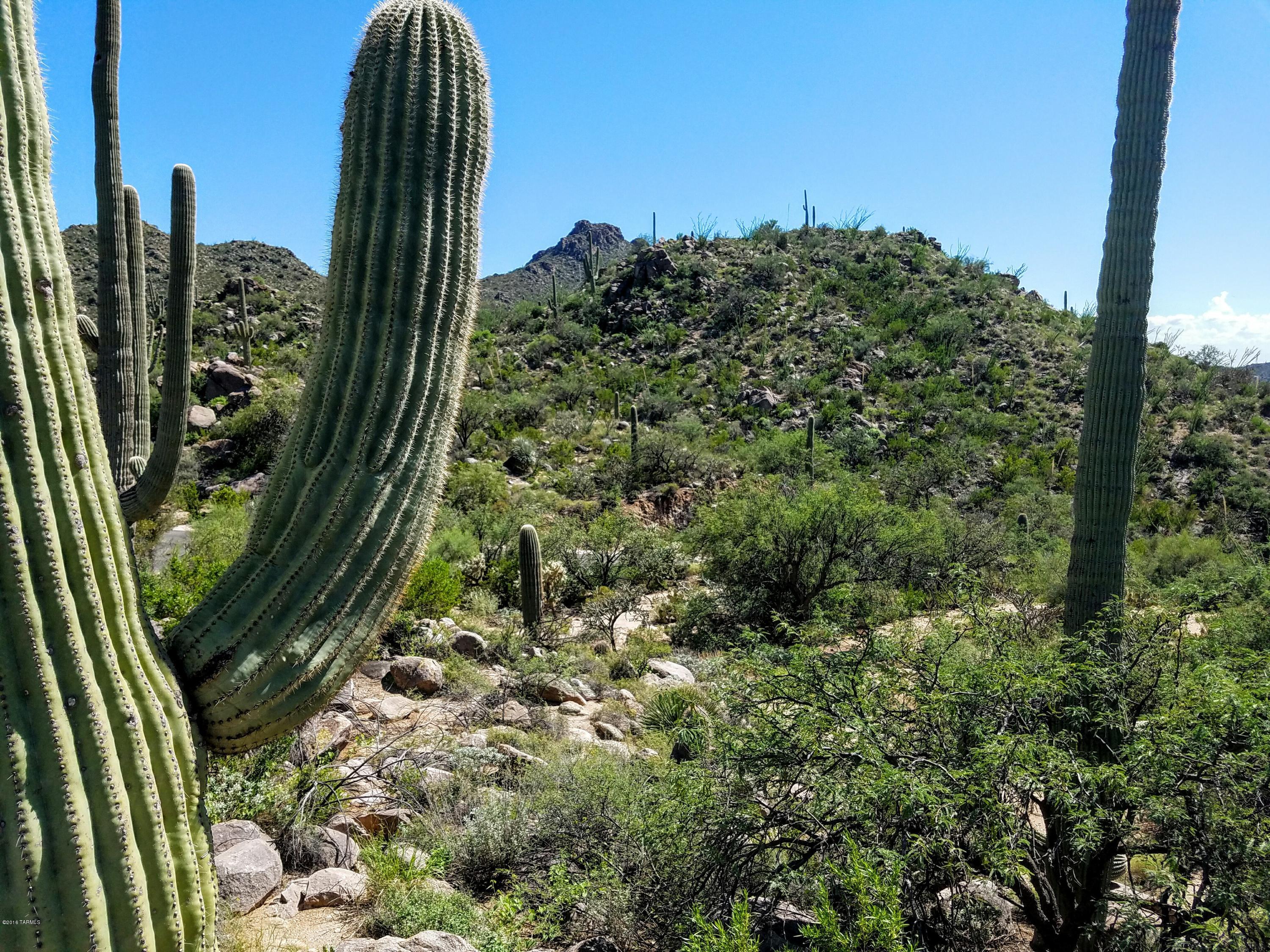 Canyon Pass At Dove Mountain - Land