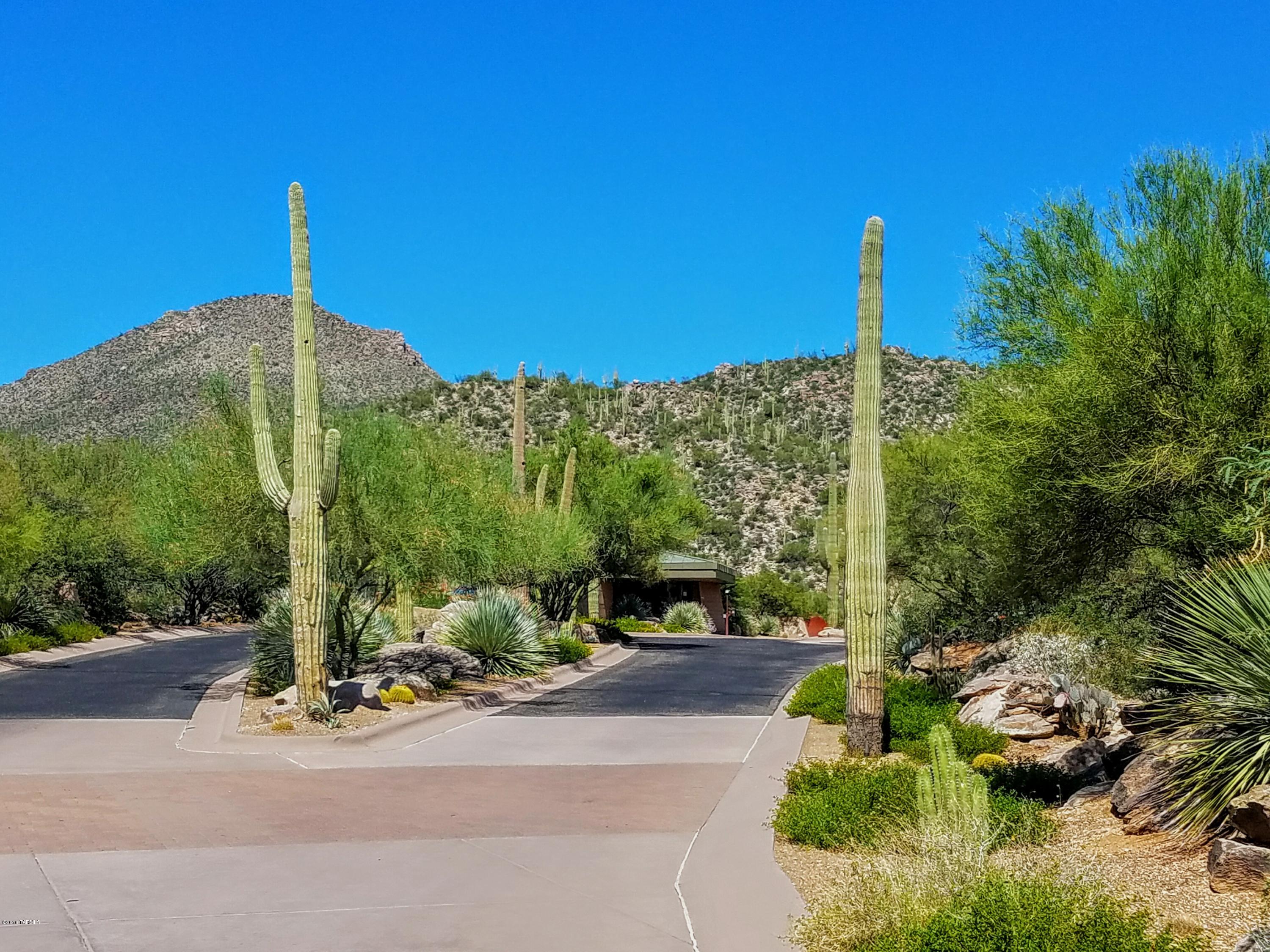 Canyon Pass At Dove Mountain - Land