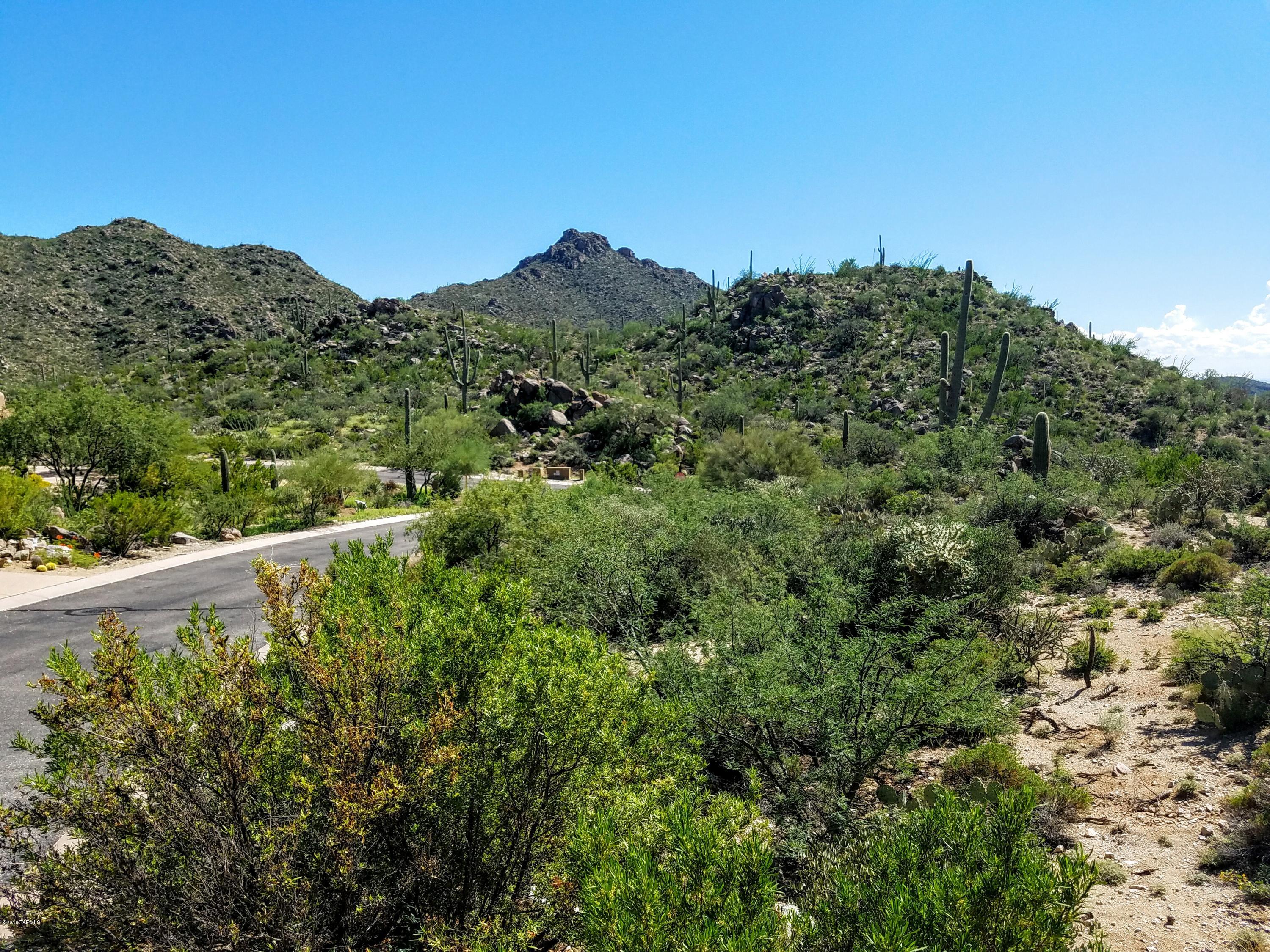 Canyon Pass At Dove Mountain - Land