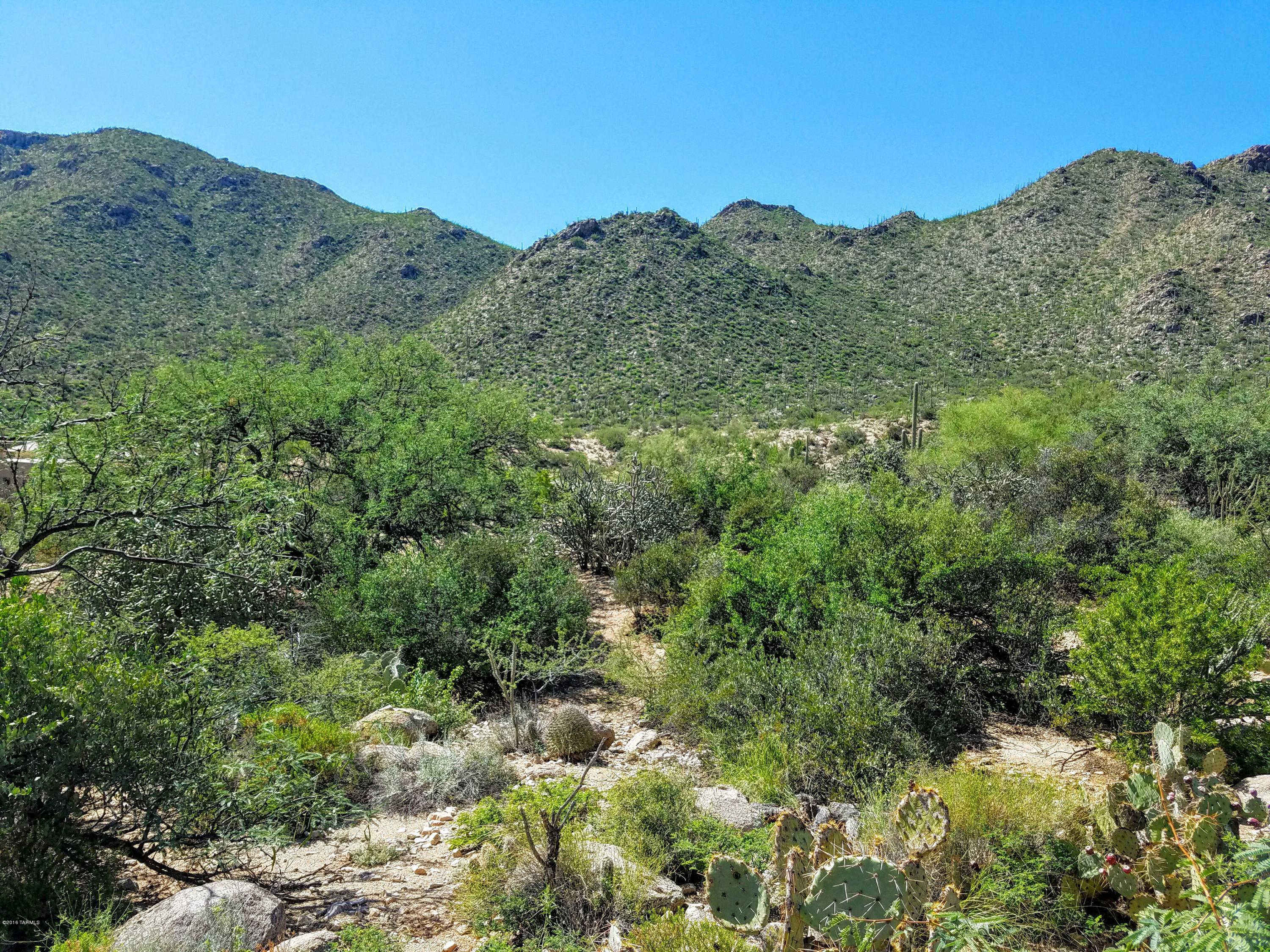 Canyon Pass At Dove Mountain - Land