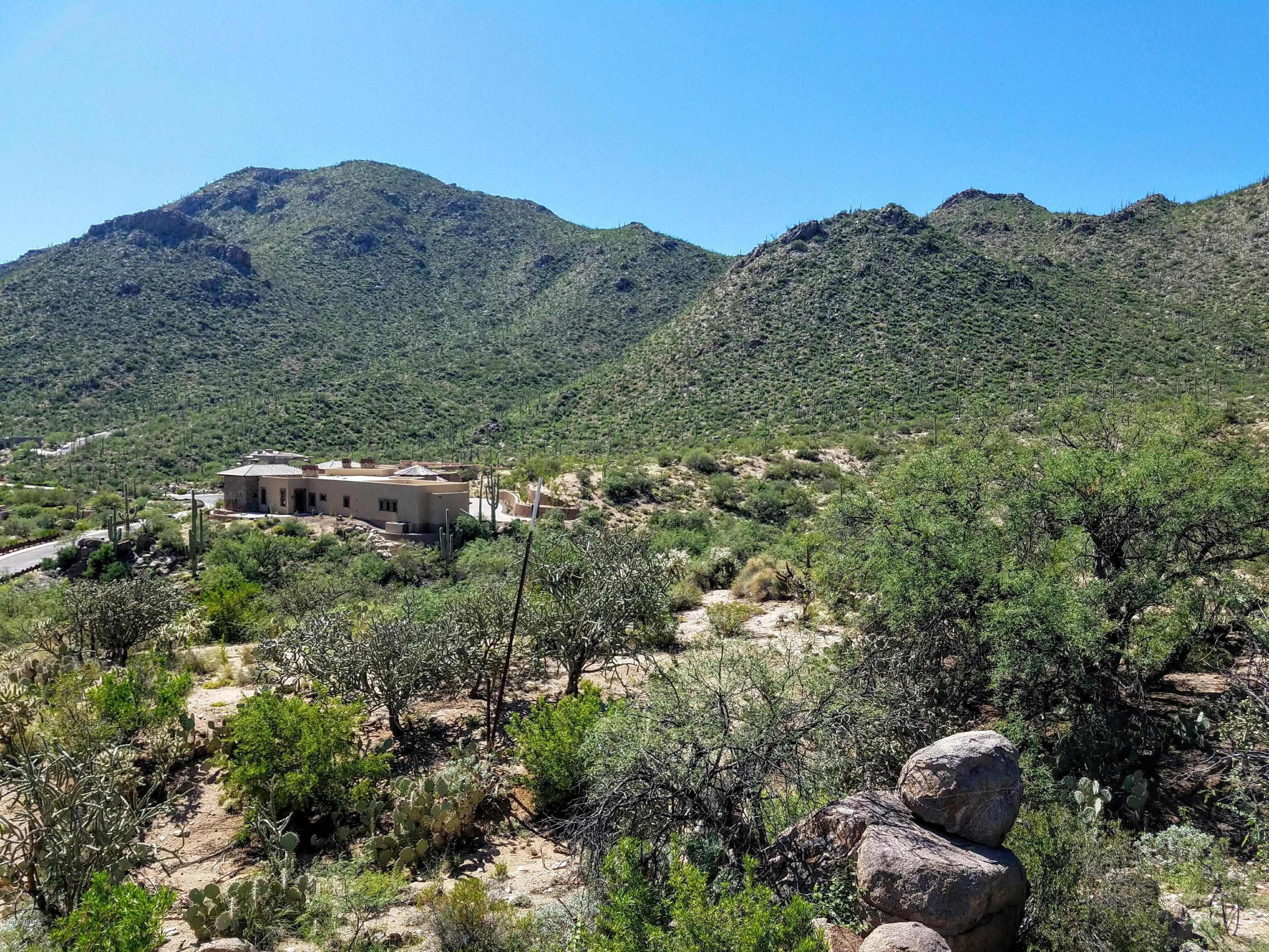Canyon Pass At Dove Mountain - Land