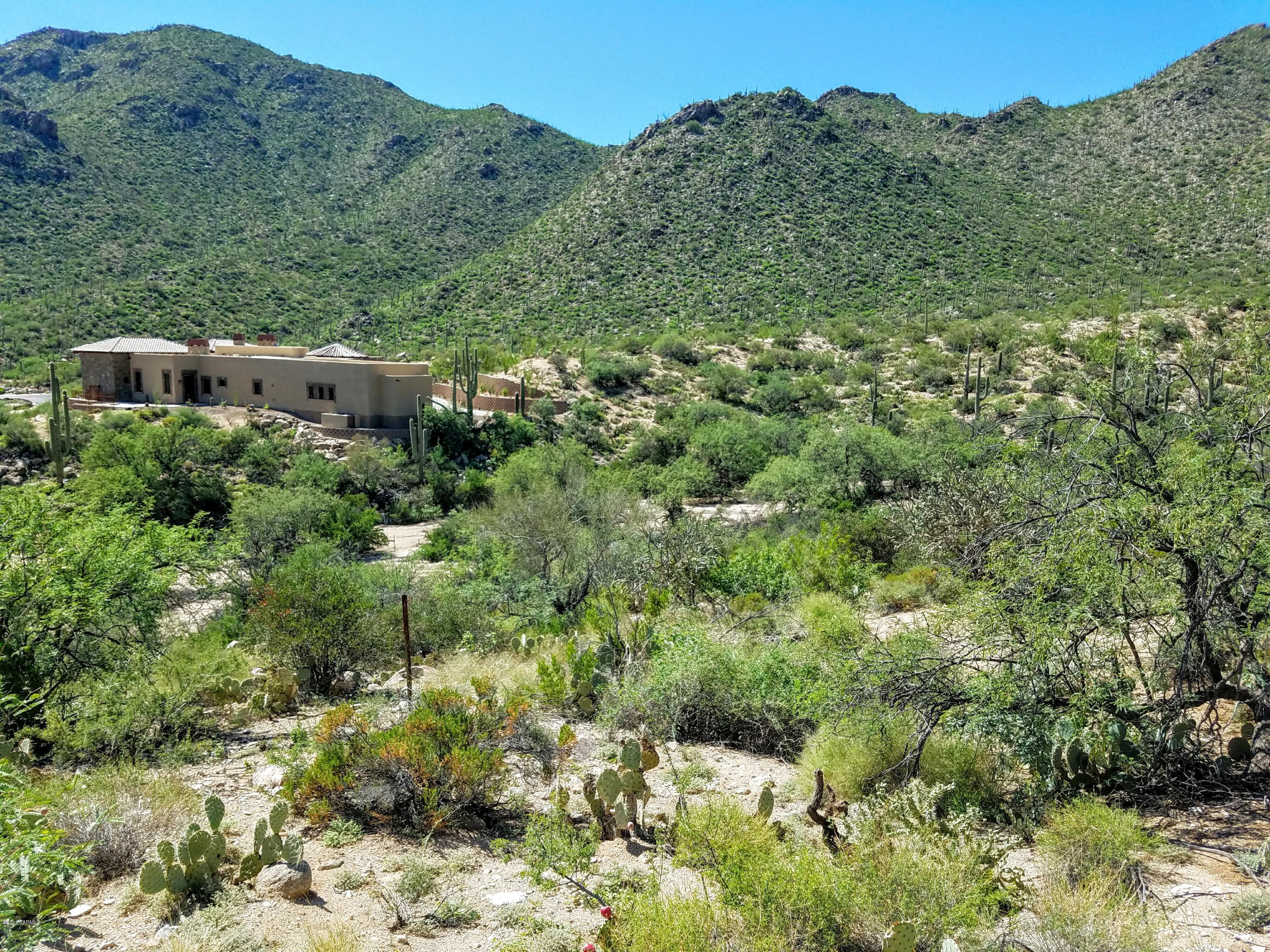 Canyon Pass At Dove Mountain - Land