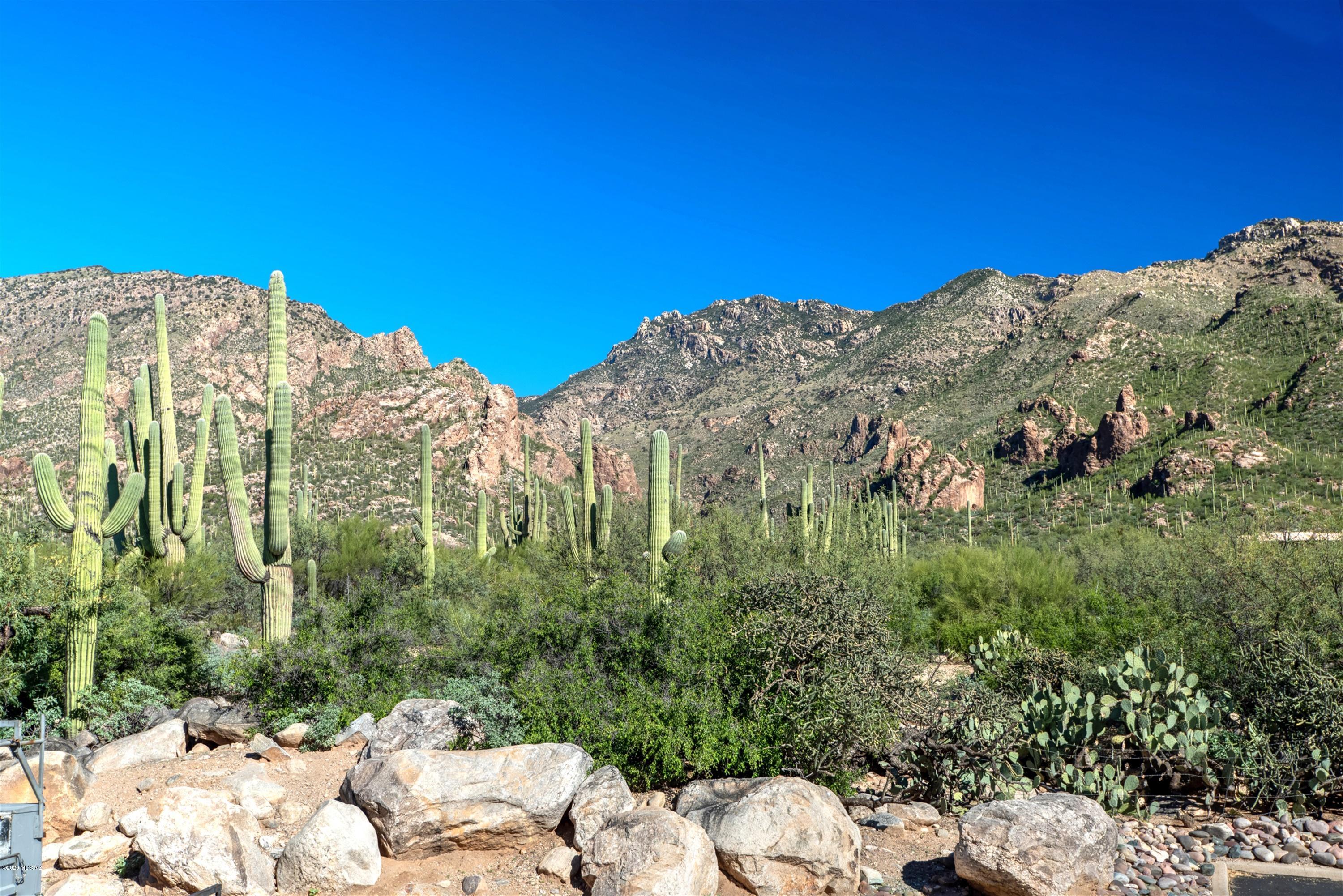 Canyon View At Ventana Condominium (1-264) - Residential Lease