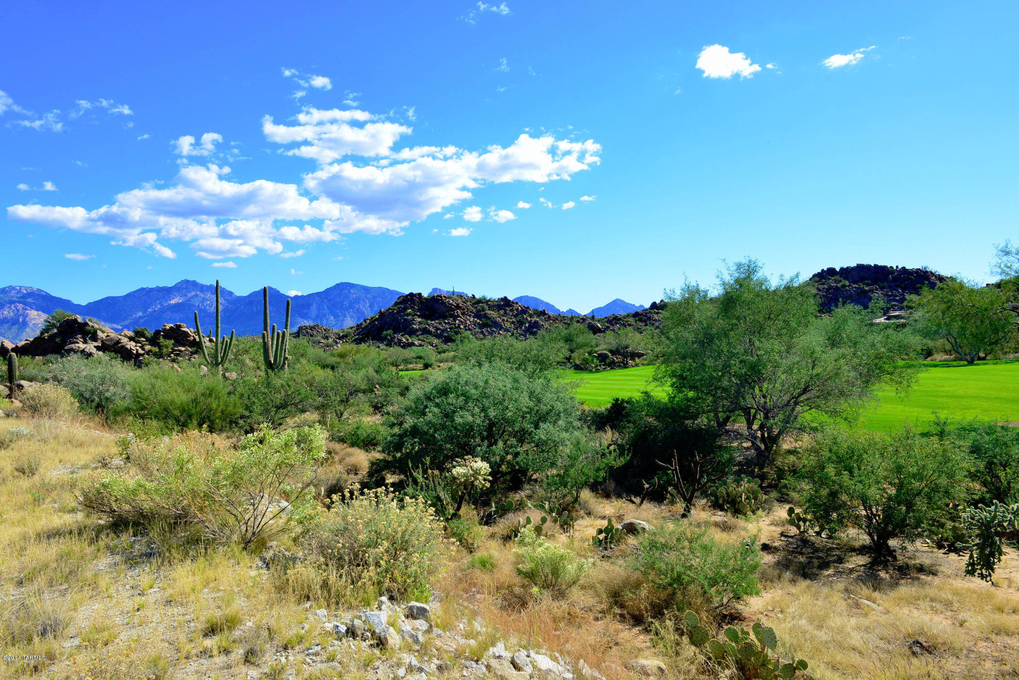 Stone Canyon IV - Land