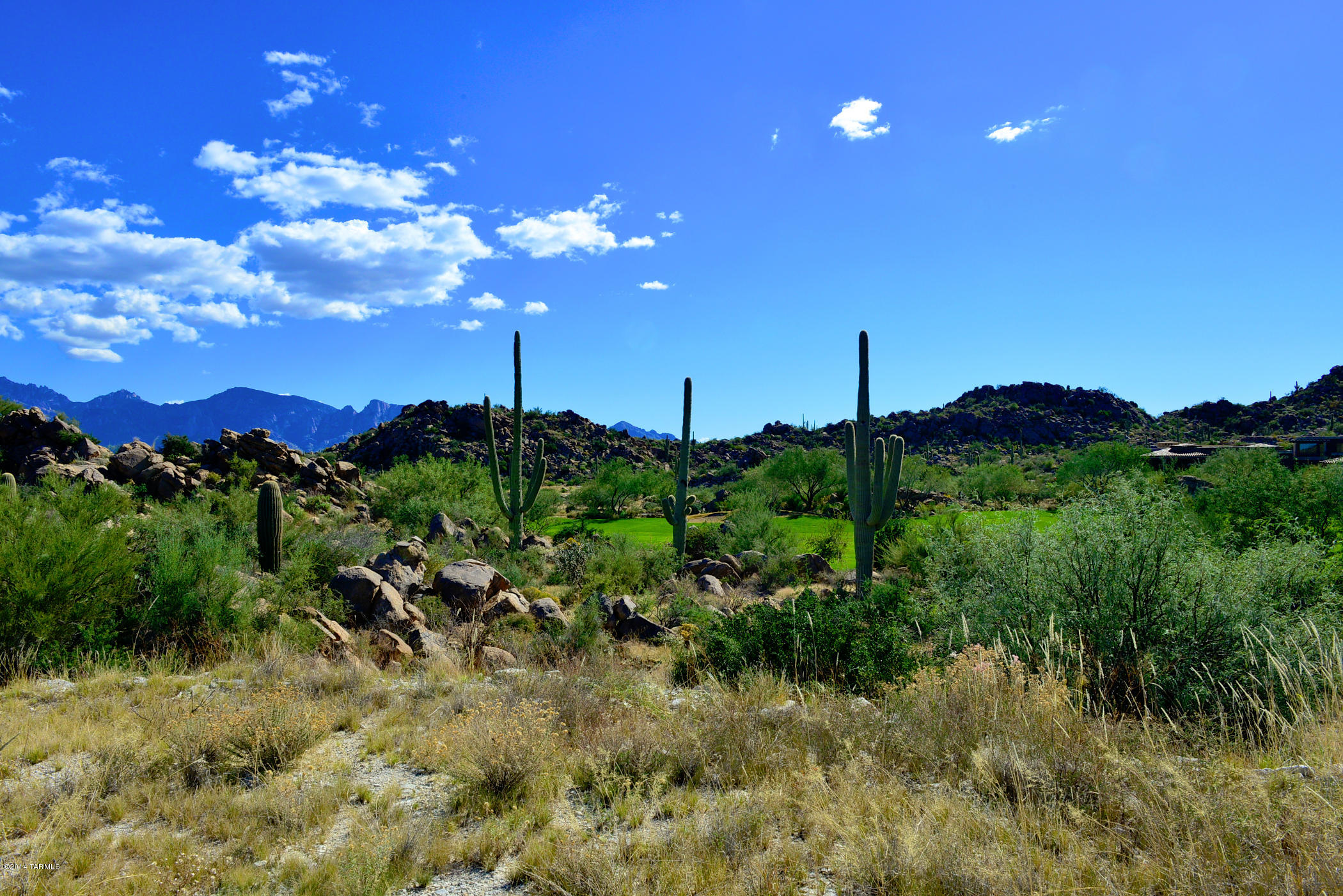 Stone Canyon IV - Land