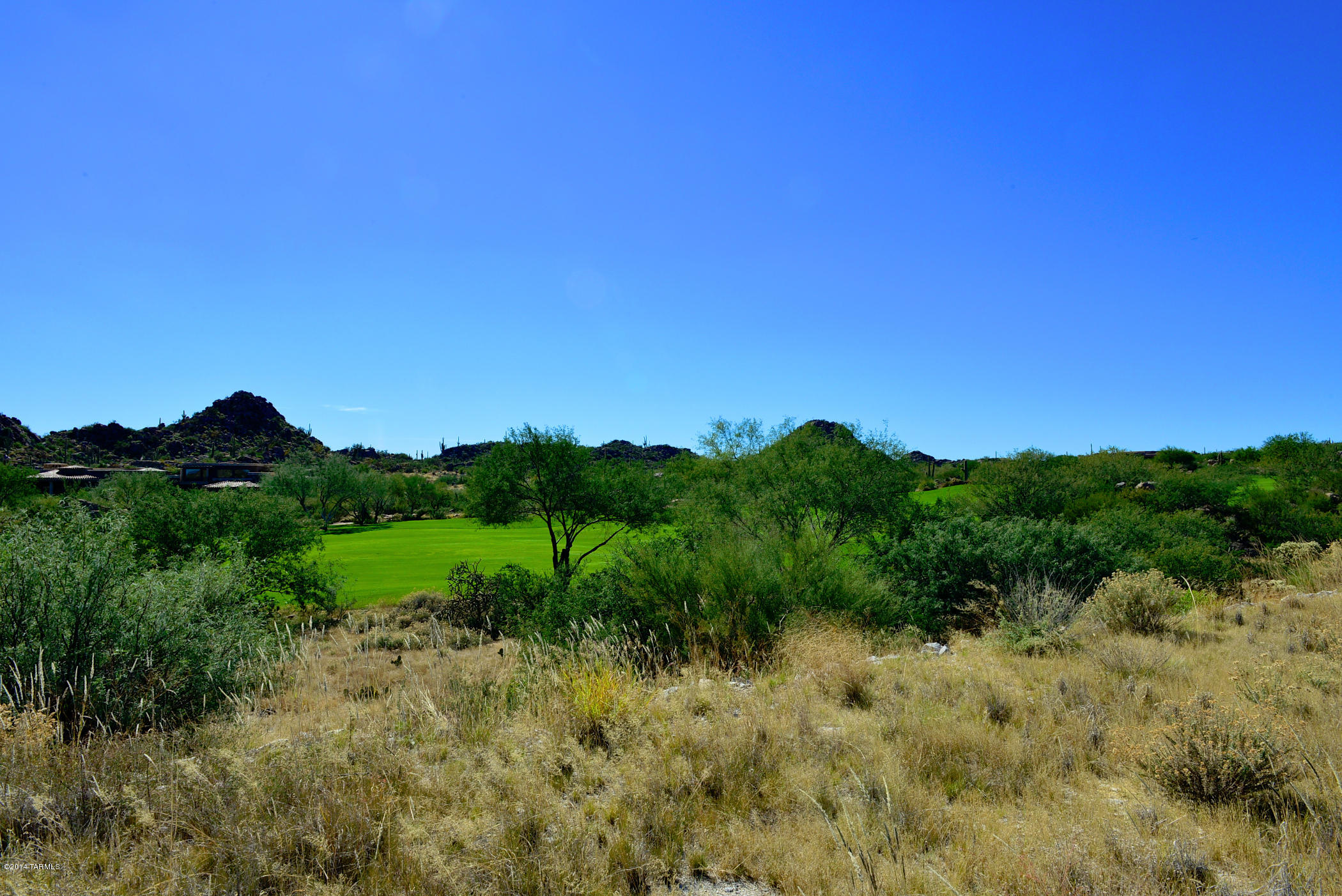 Stone Canyon IV - Land
