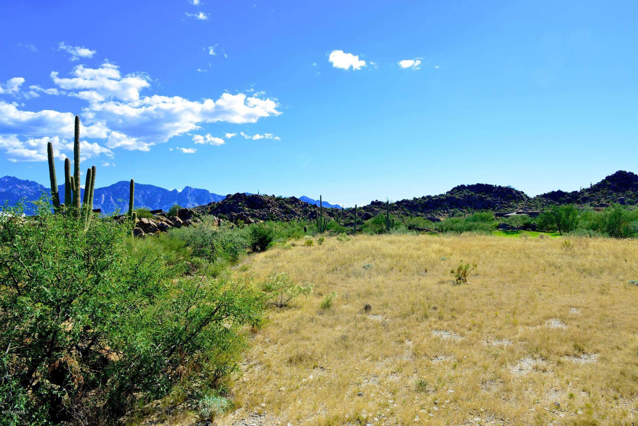 Stone Canyon IV - Land