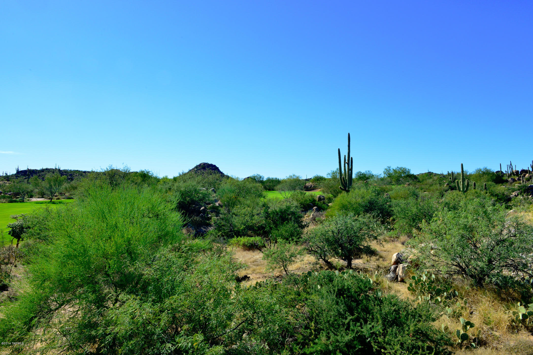 Stone Canyon IV - Land