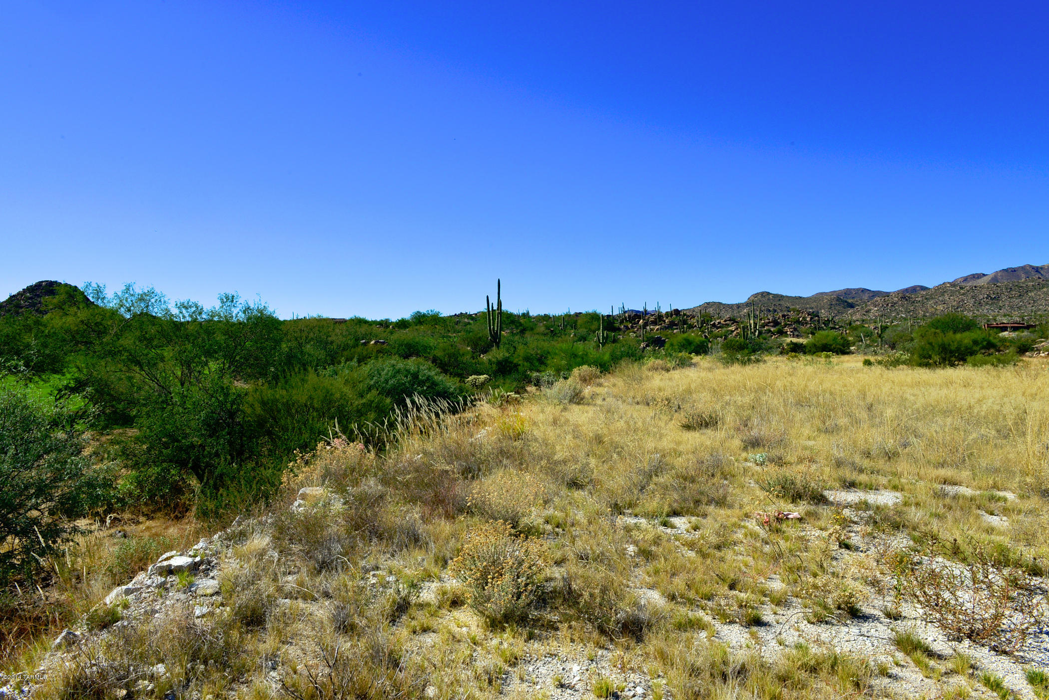 Stone Canyon IV - Land
