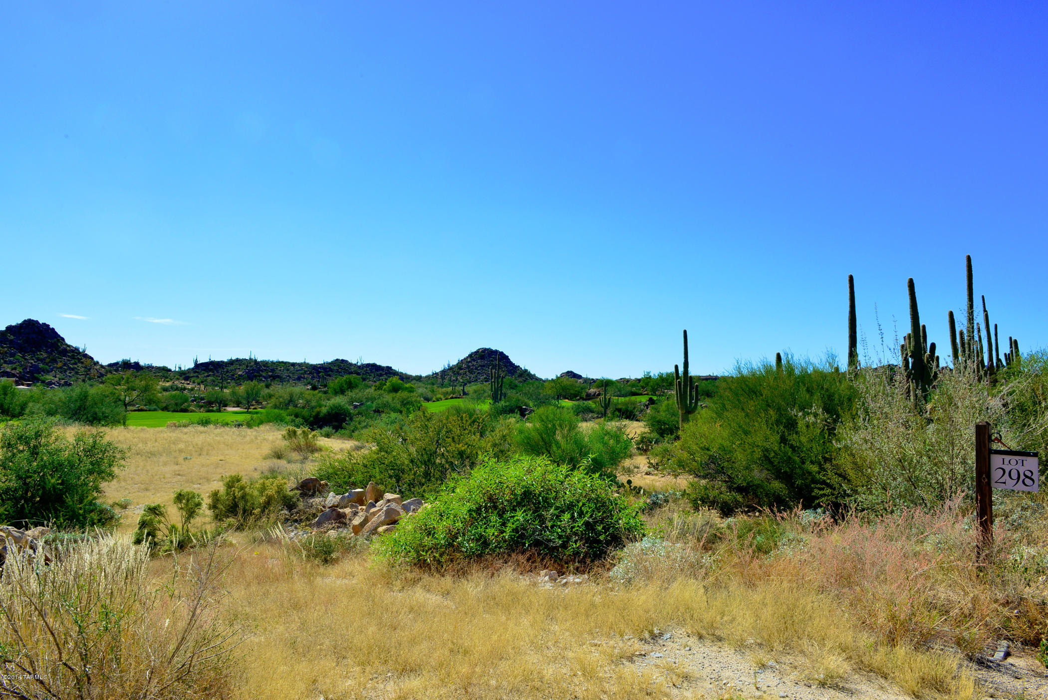Stone Canyon IV - Land