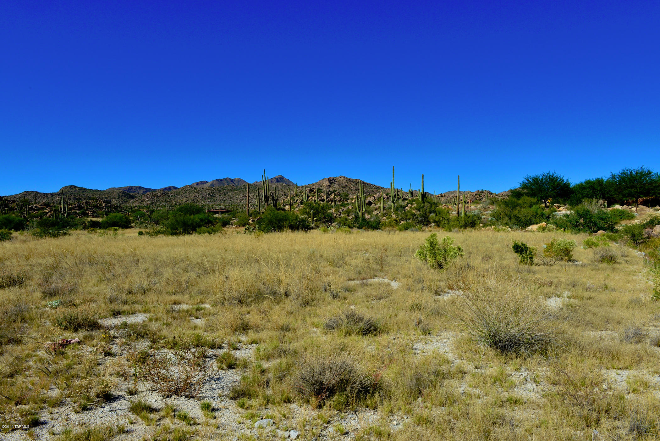 Stone Canyon IV - Land
