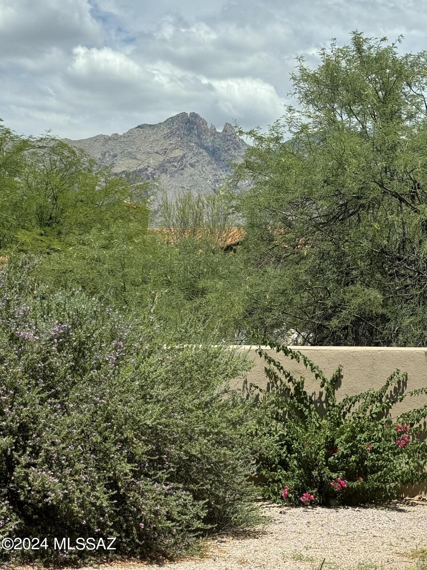 La Paloma Estates (1-35) - Residential
