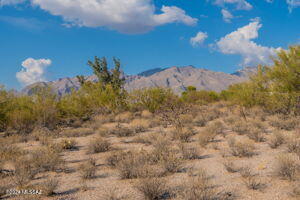 Flecha Caida Ranch Estates #5 - Land