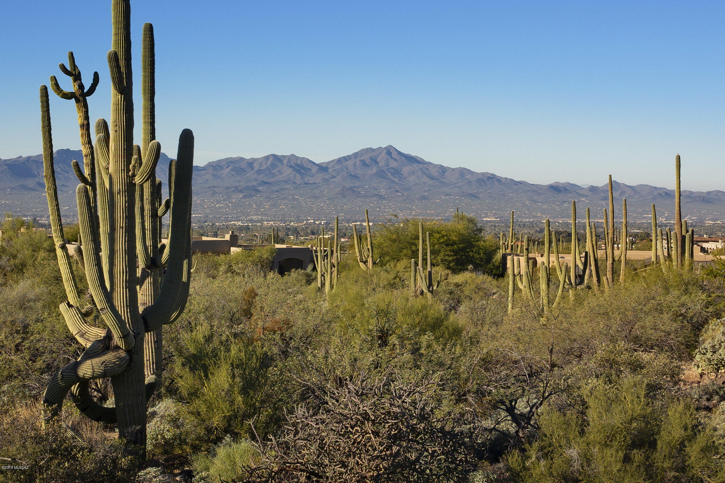 Pima Canyon Estates (30,33,96-102,115,124-127,136-139,147-151,16) - Land