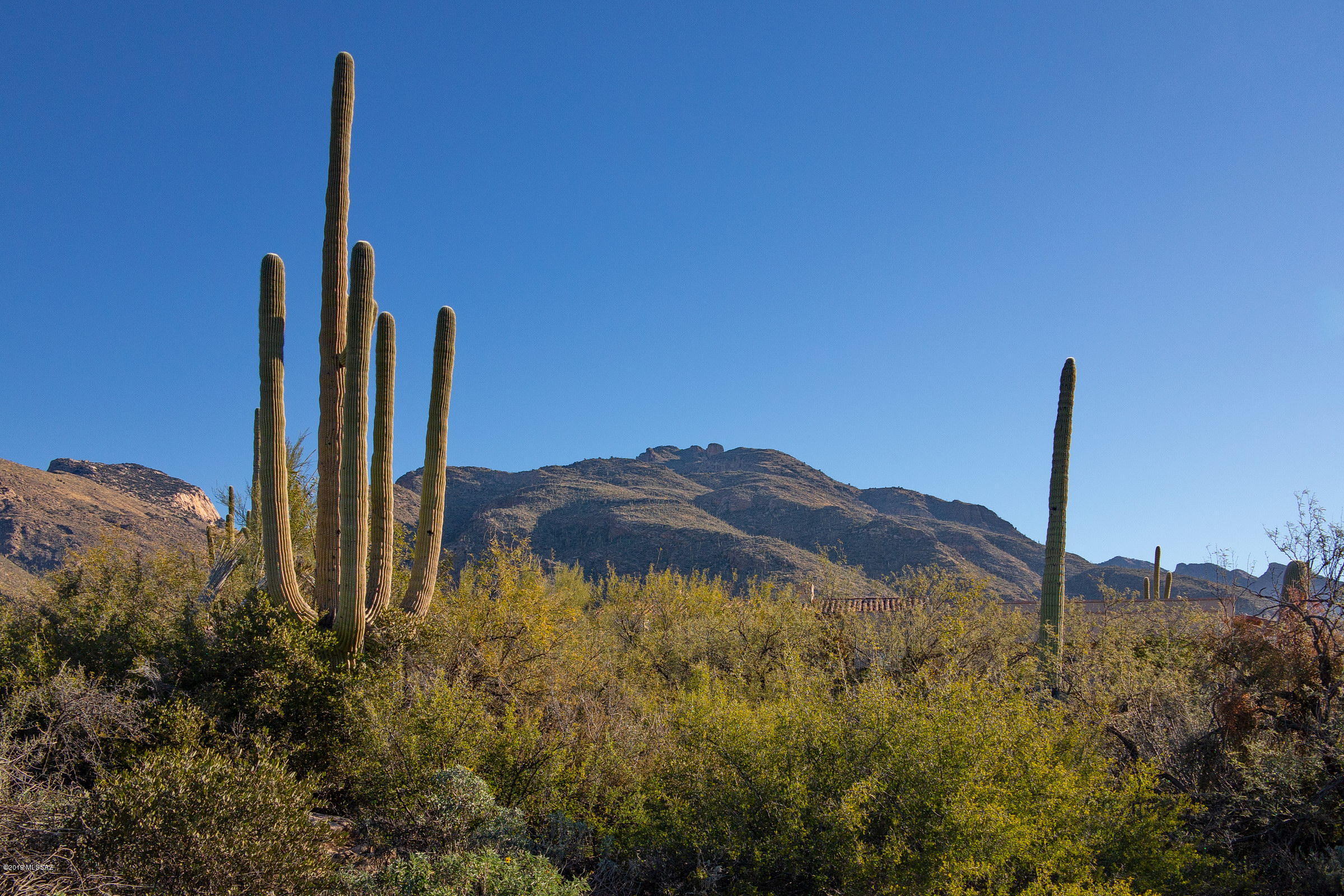 Pima Canyon Estates (30,33,96-102,115,124-127,136-139,147-151,16) - Land