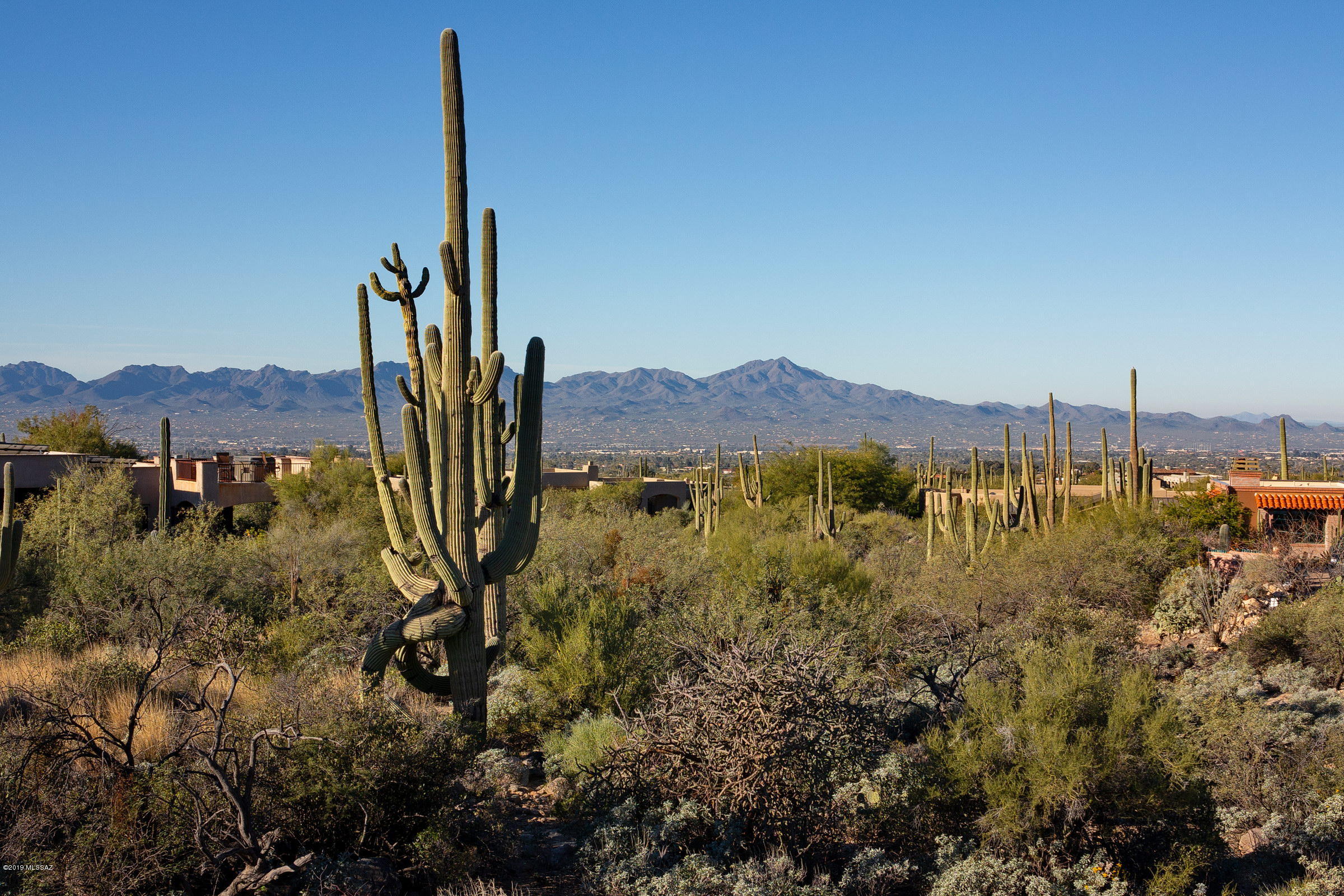Pima Canyon Estates (30,33,96-102,115,124-127,136-139,147-151,16) - Land